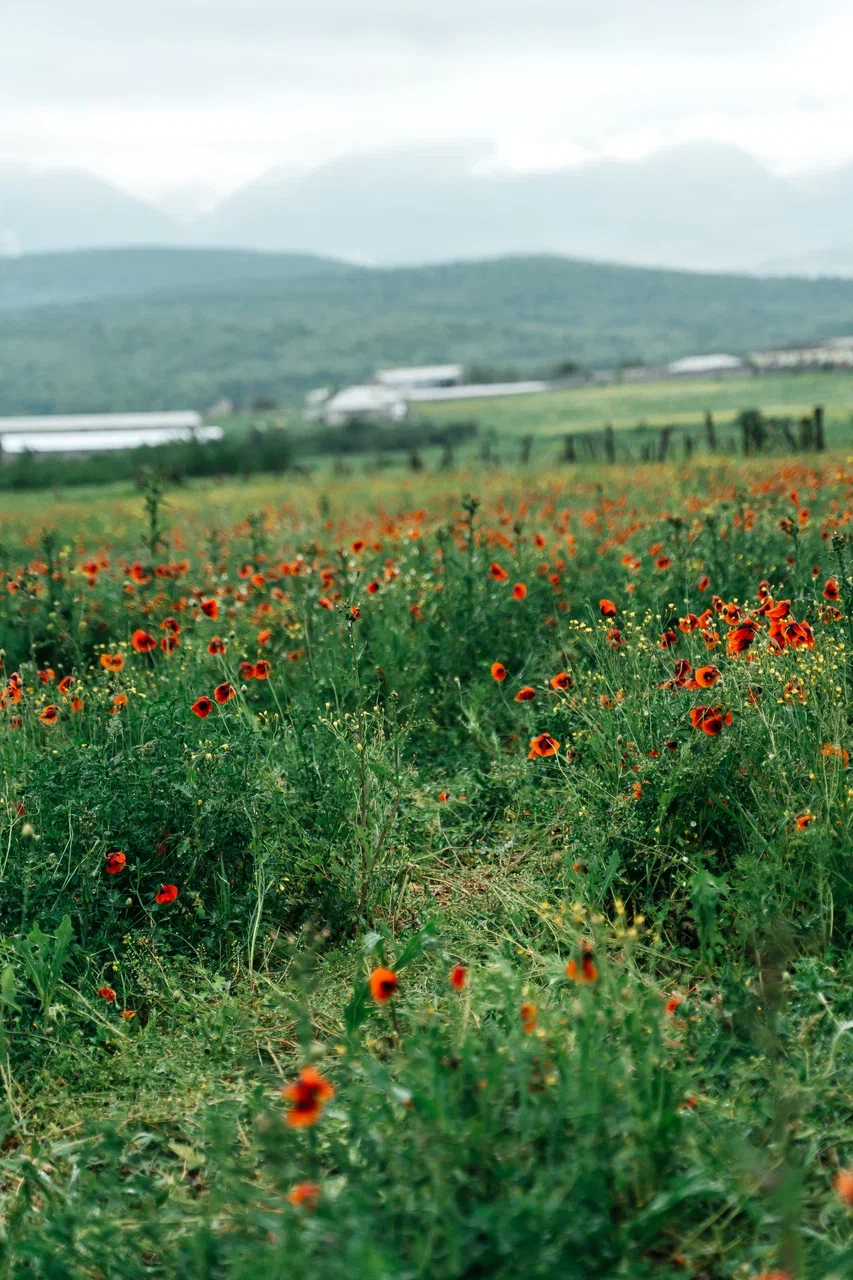 Дагестан за 4 дня: страна гор, древних аулов и культуры, гостеприимства и вкусной еды (5/15)