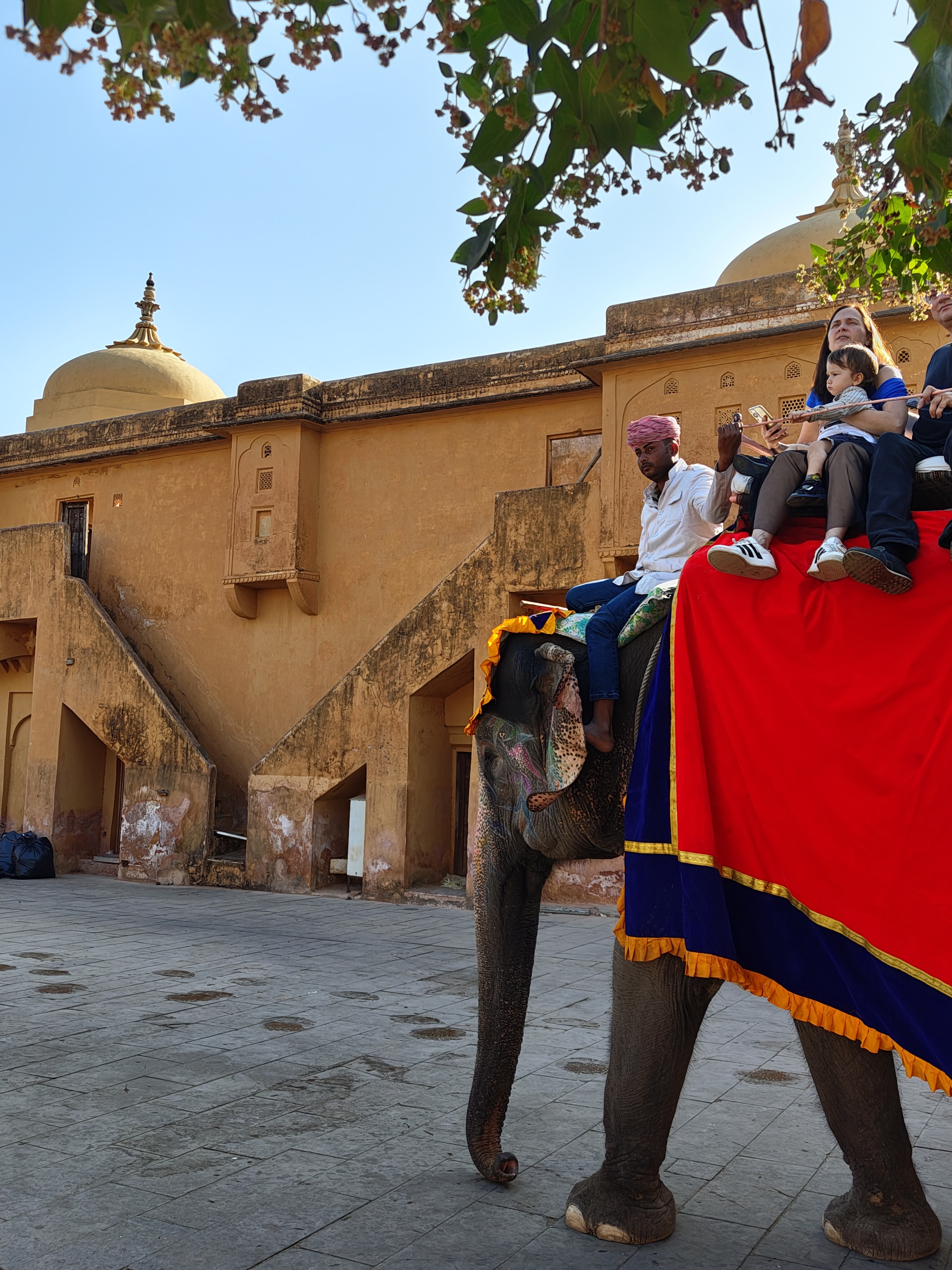 Розовая Магия Джайпура: Откройте Тайны Восточного Чуда! (4/7)