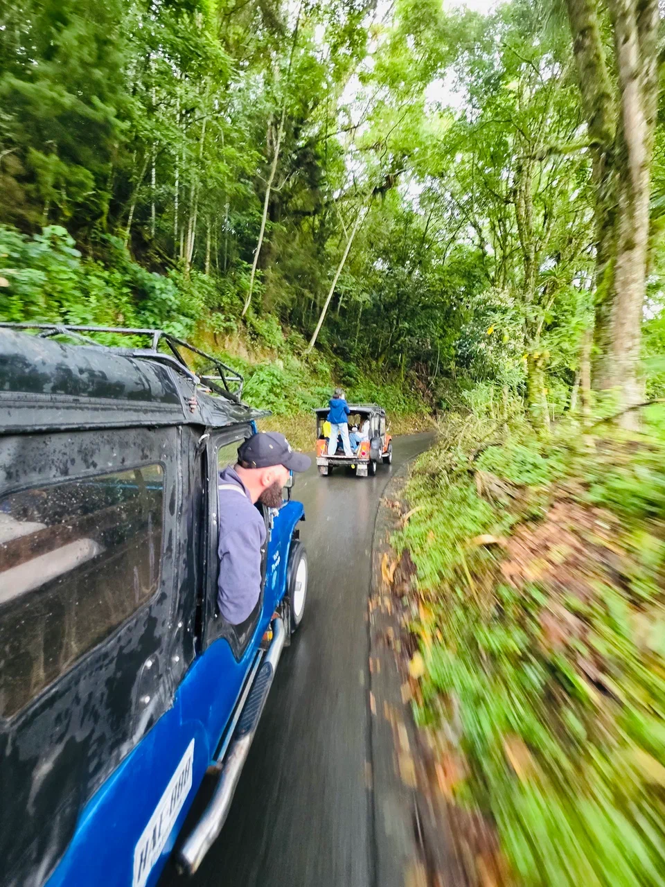 Колумбия: страна ярких традиций, насыщенной культуры, дружелюбных людей и кофе (4/23)