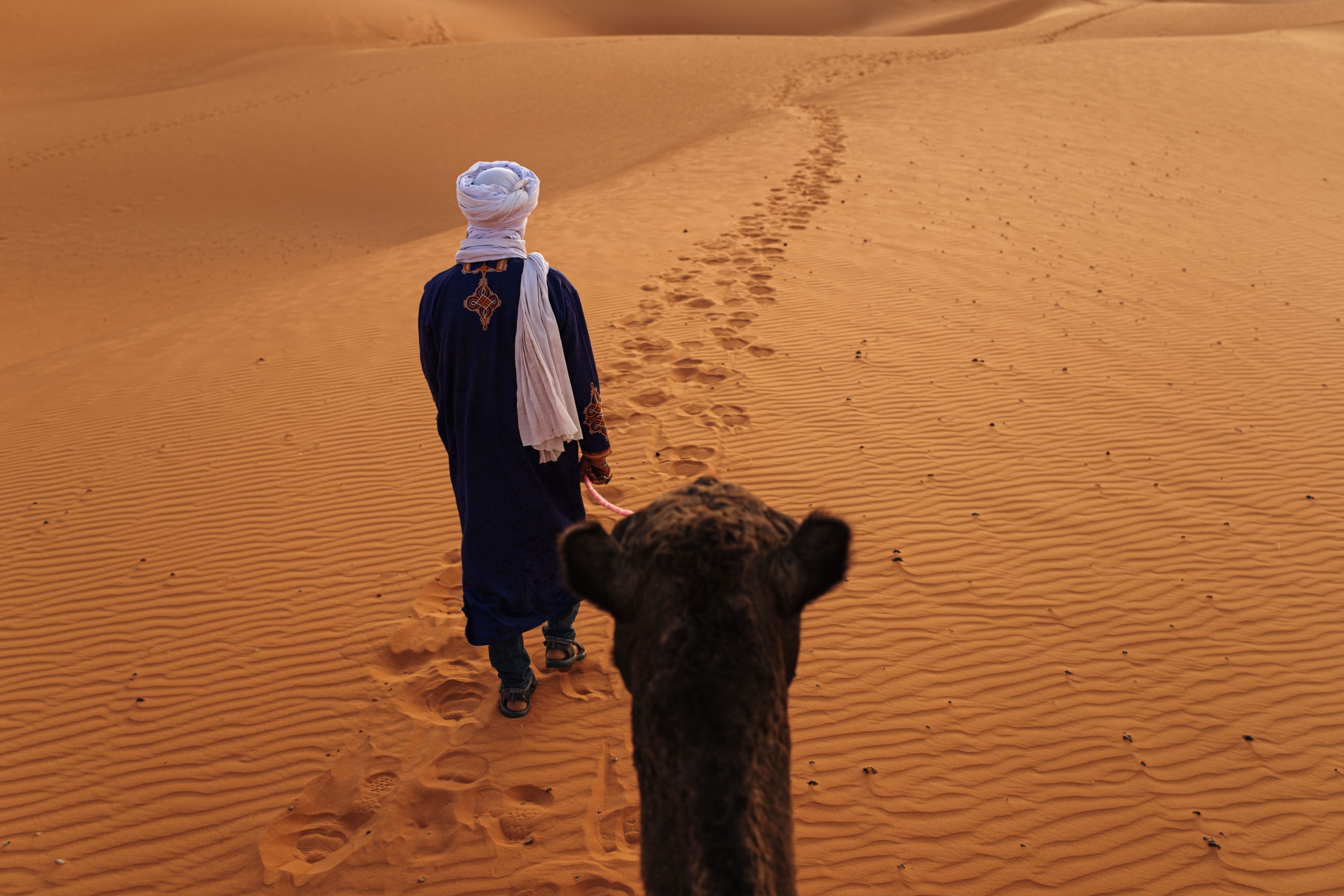 Кругосветка: От Сахары (2 ночи) до Атлантики (2 ночи) (6/146)