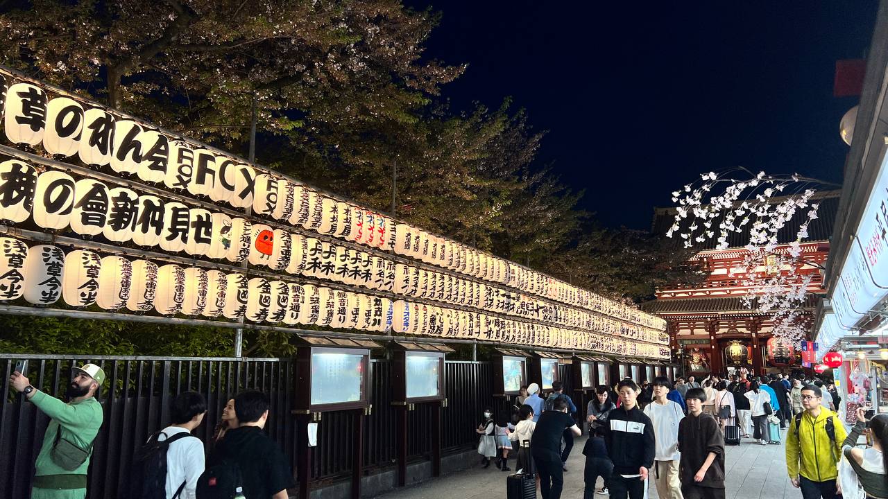 Япония  — путешествие по стране восходящего солнца (39/75)