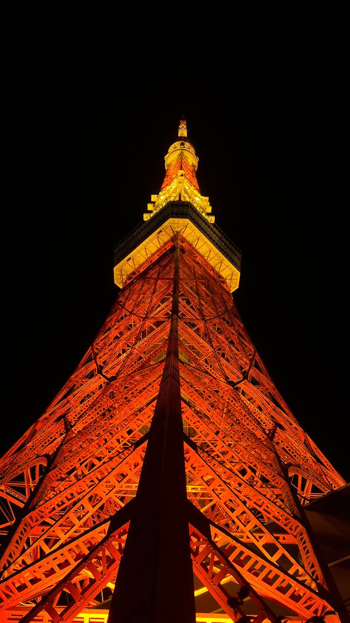 Япония  — путешествие по стране восходящего солнца (9/75)