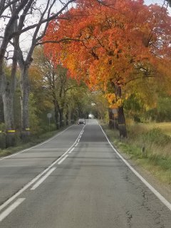 Калининград- любовь моя!