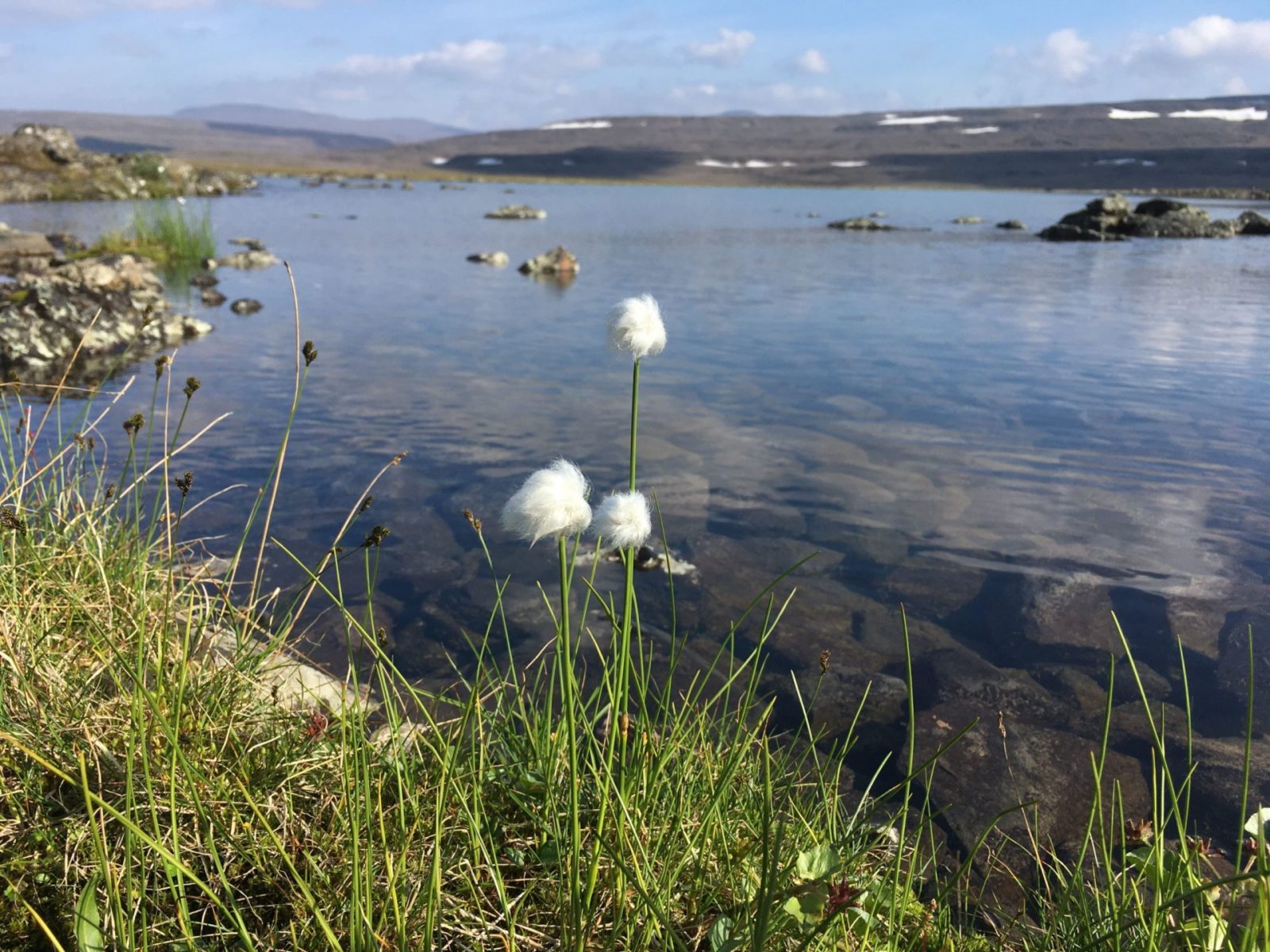 Верхний мир Плато Путорана (33/83)