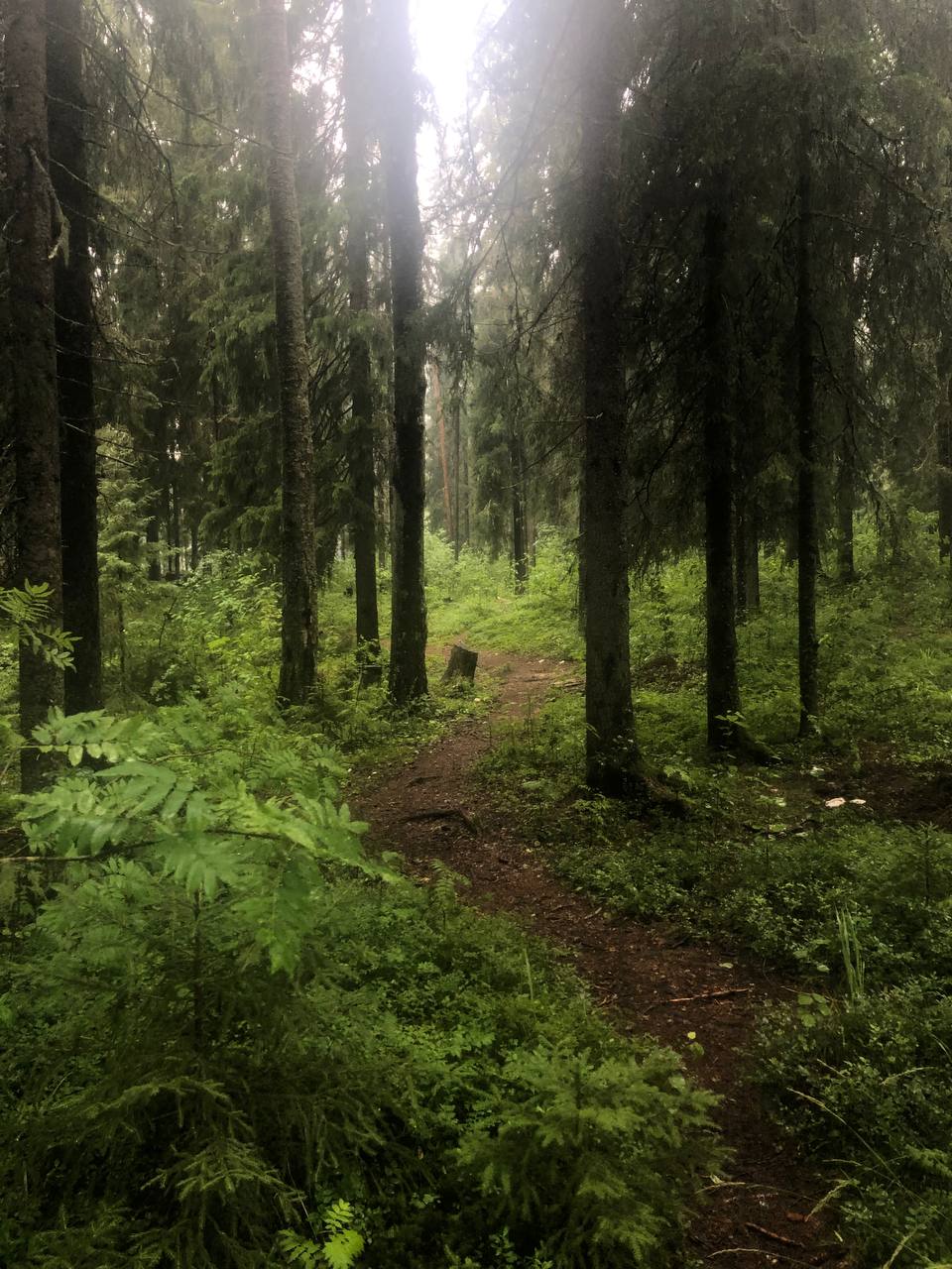 Сплав по реке Шуя на рафтах, 7 дней (16/16)