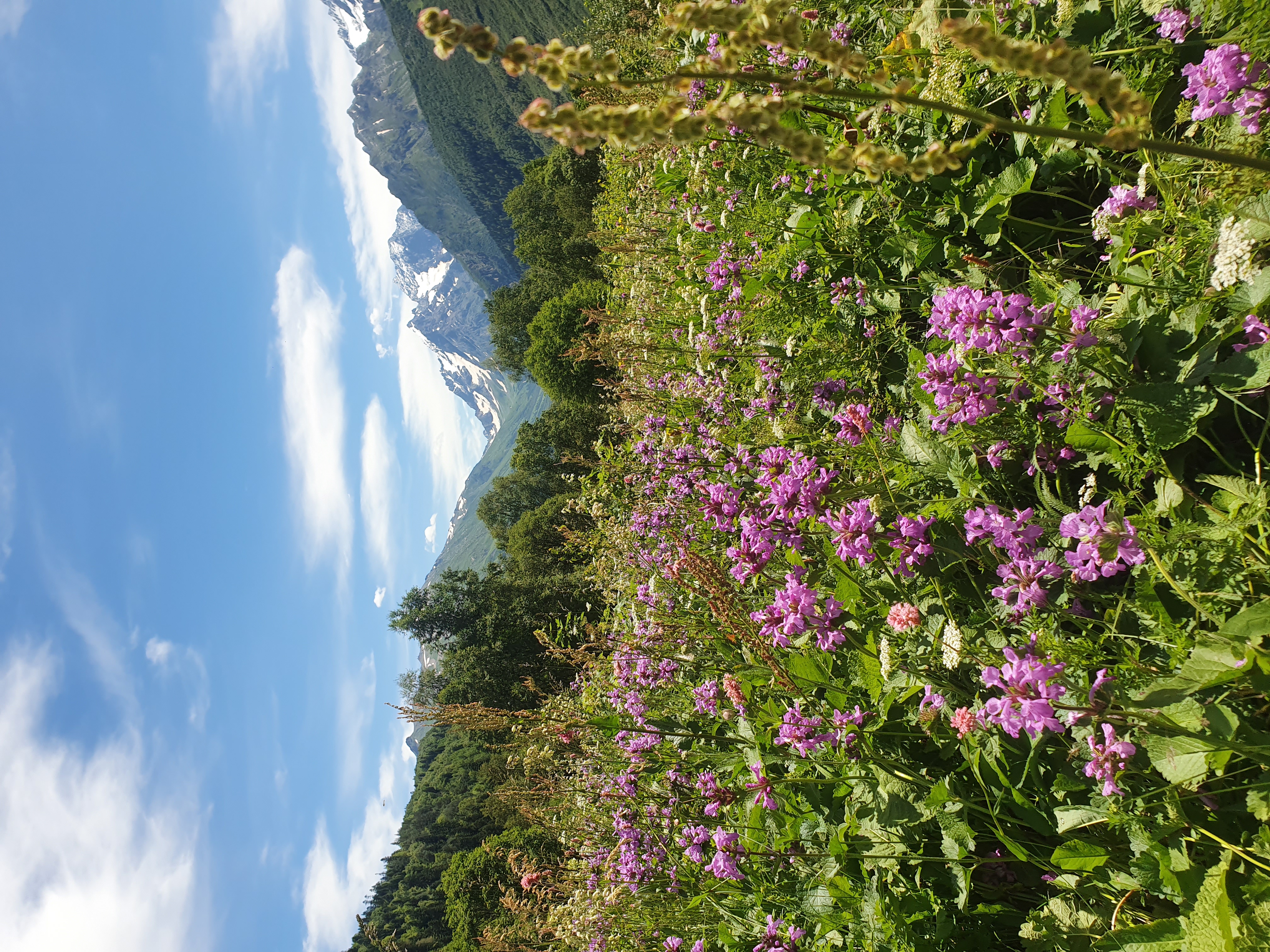 Домбай на 3 дня (6/14)