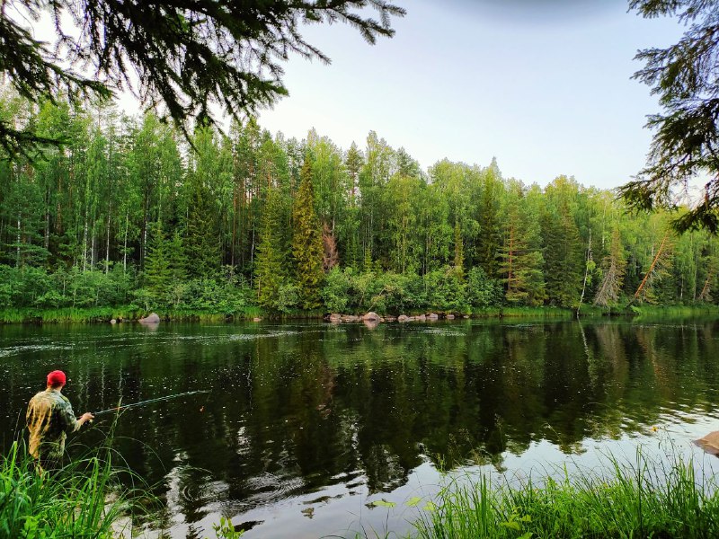 Сплав по реке Писта (Пистайоки) (20/21)