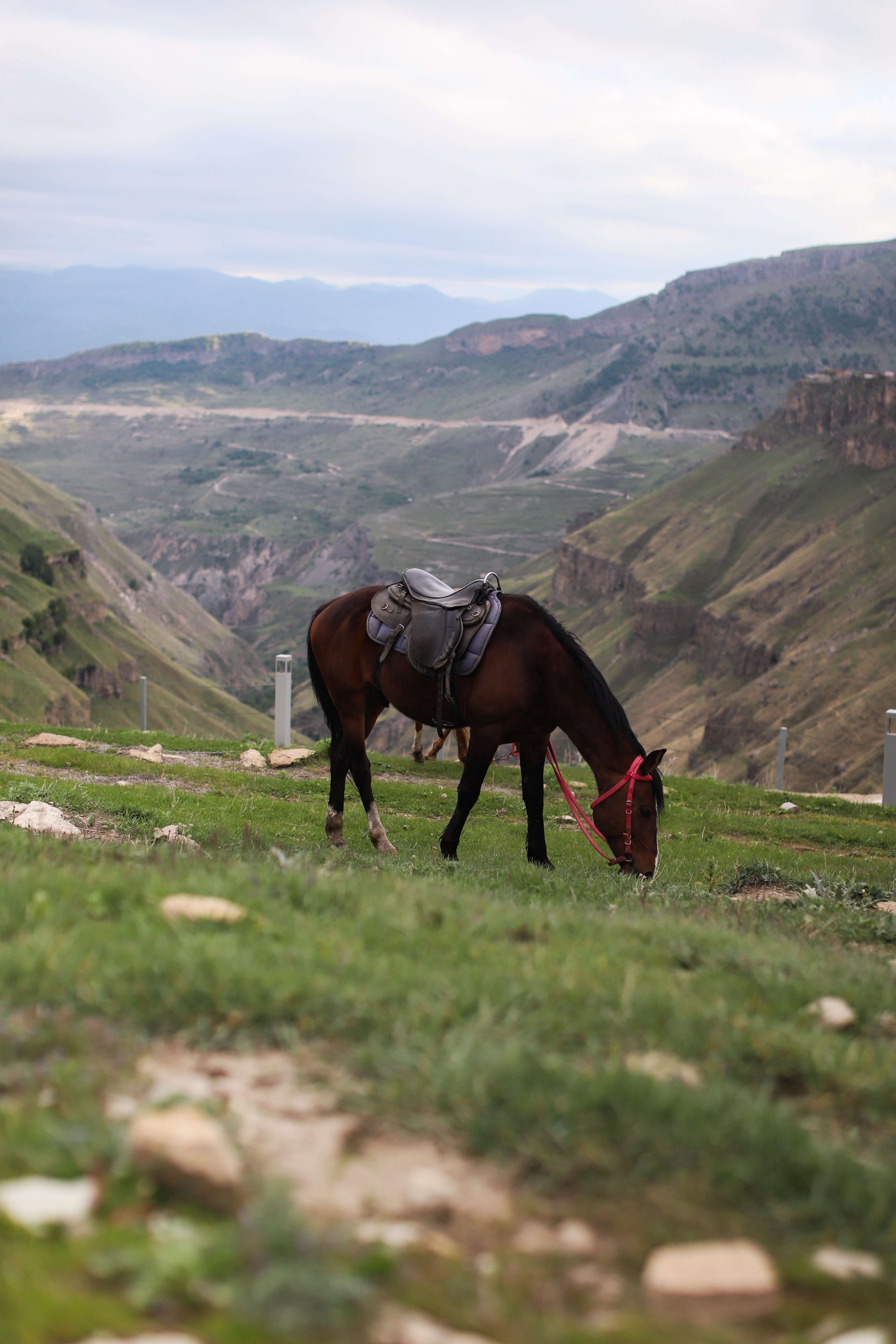 Комфорт тур в Дагестан: 5 дней Топ-локации (22/49)
