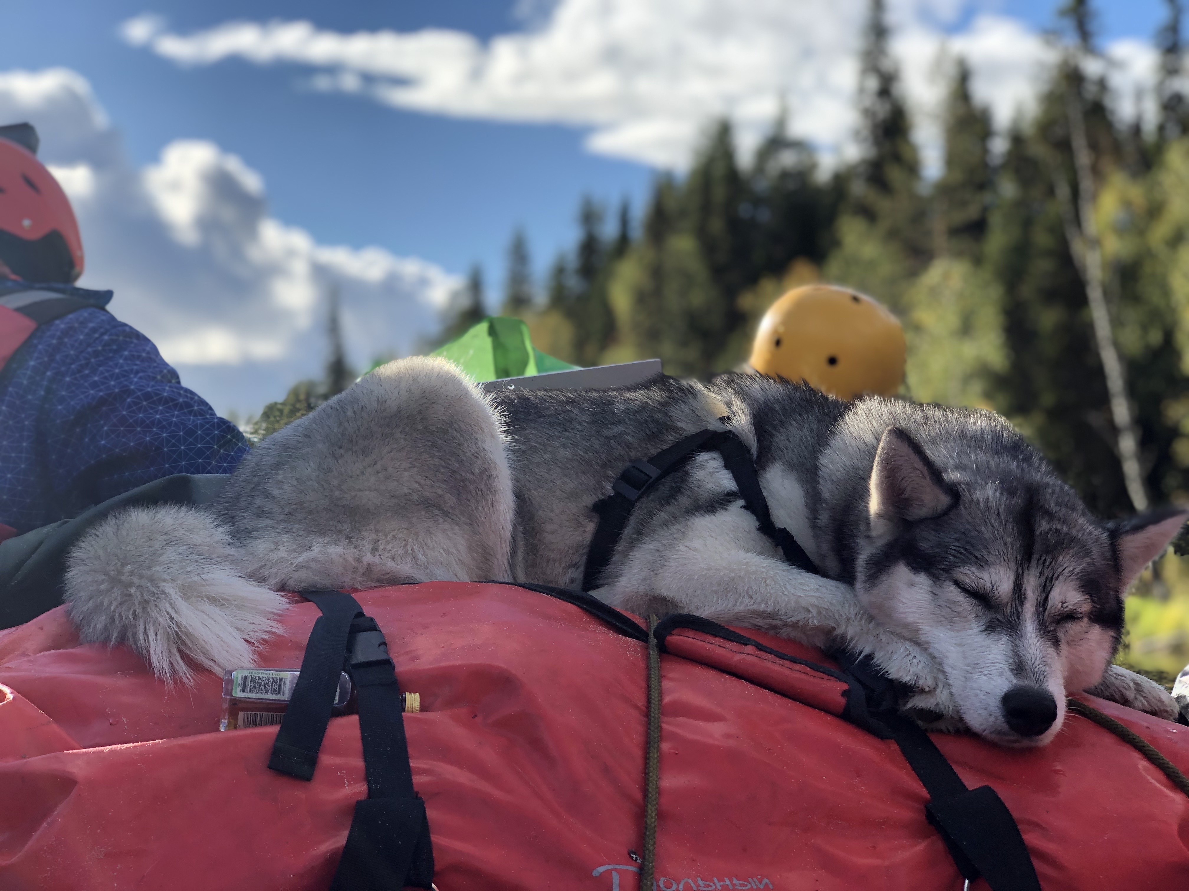 Сплав по реке Писта (Пистайоки) (15/21)