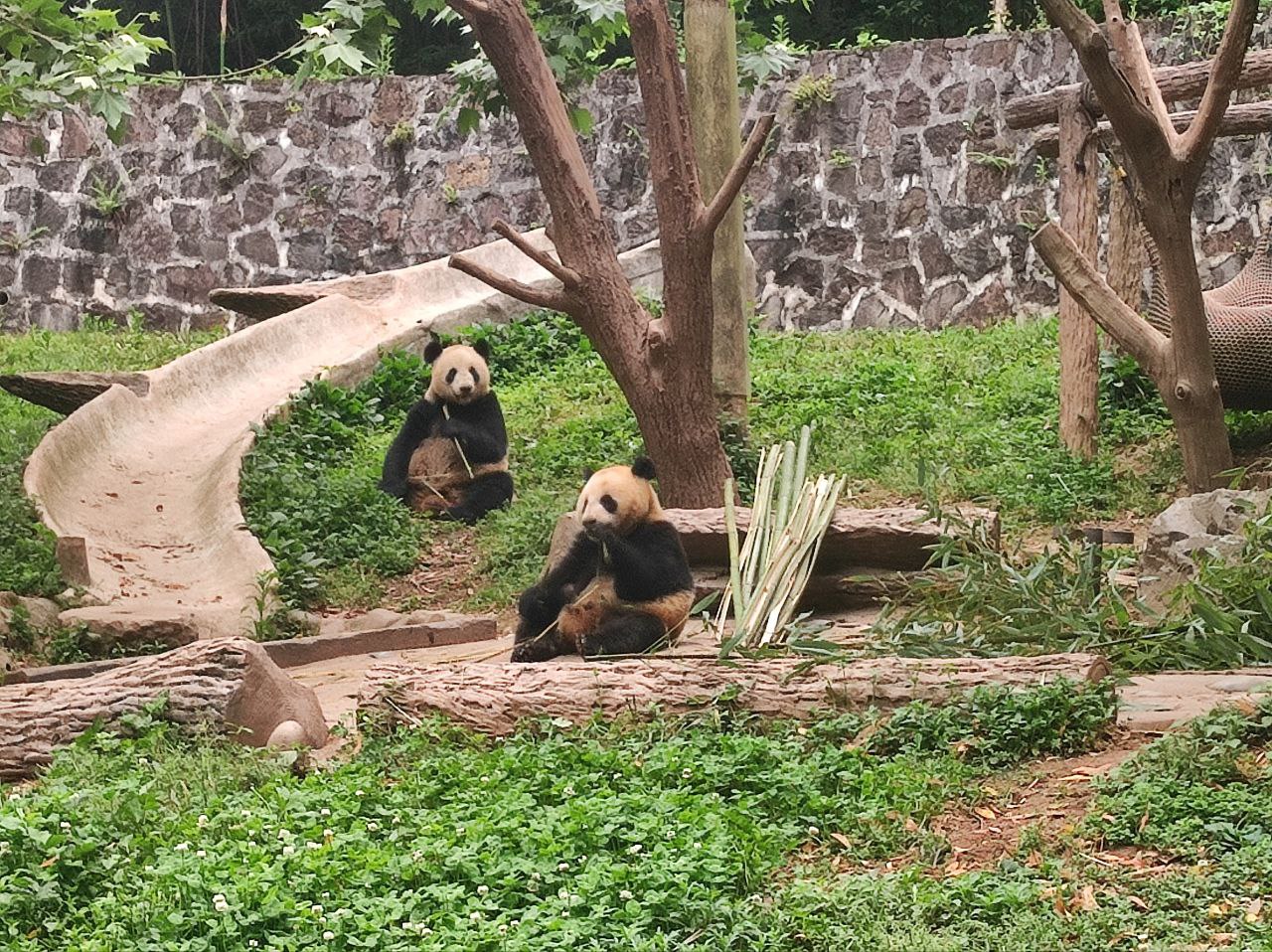 Западный Китай: с севера на юг. (21/175)