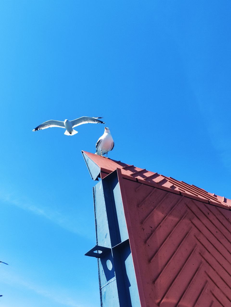 Экскурсия на остров Ольхон в мини-группе! (6/21)