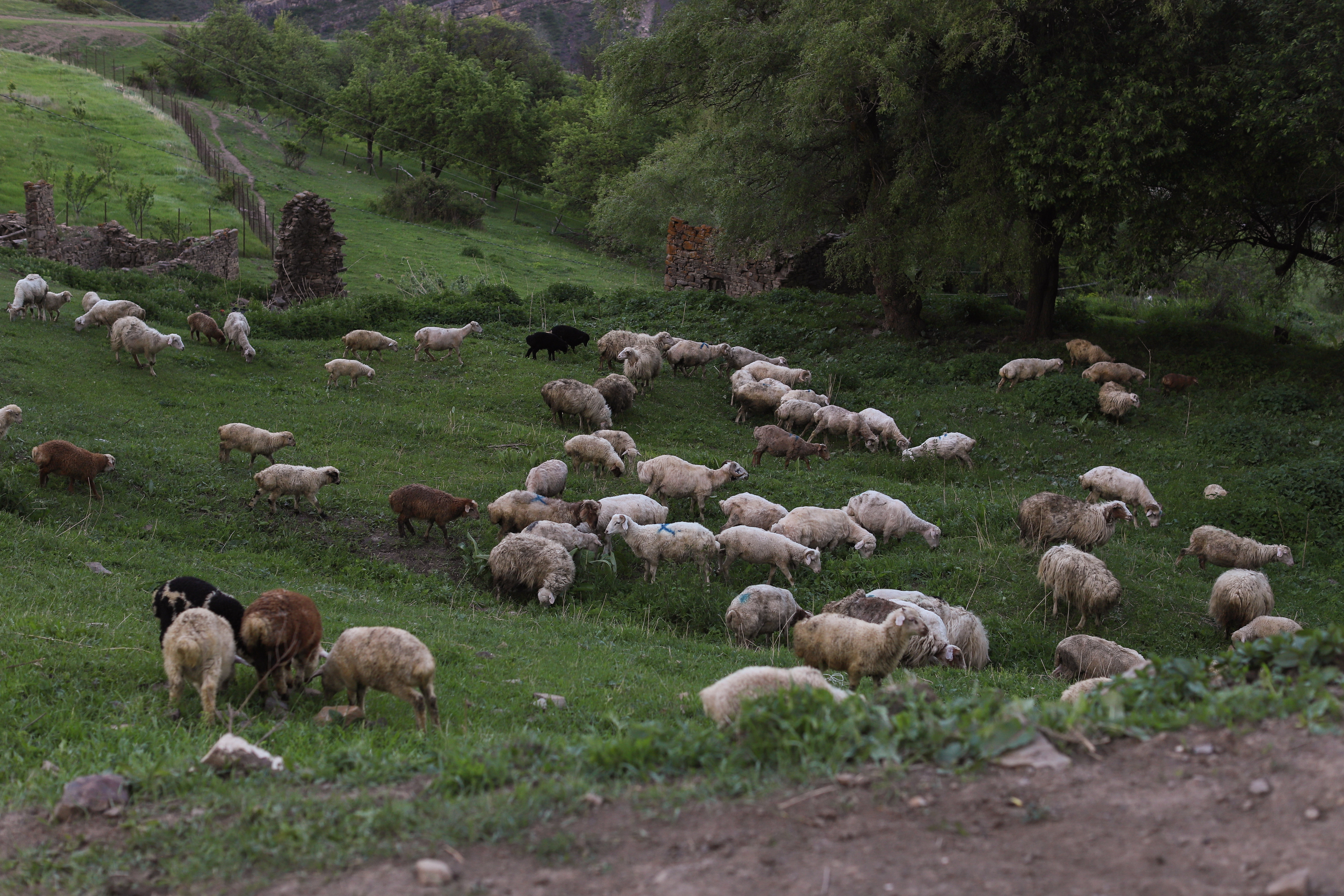 Комфорт тур в Дагестан: 5 дней Топ-локации (26/49)