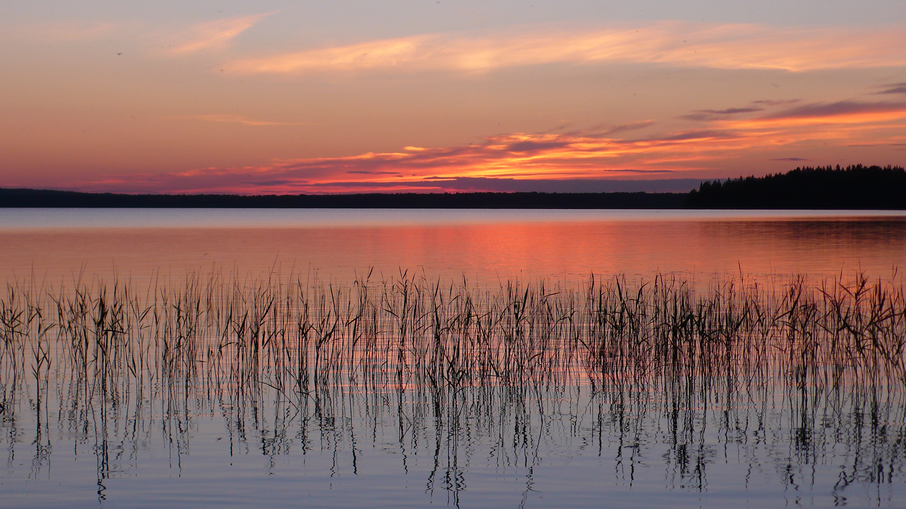 Сплав на рафтах по Верхней Шуе (2/20)
