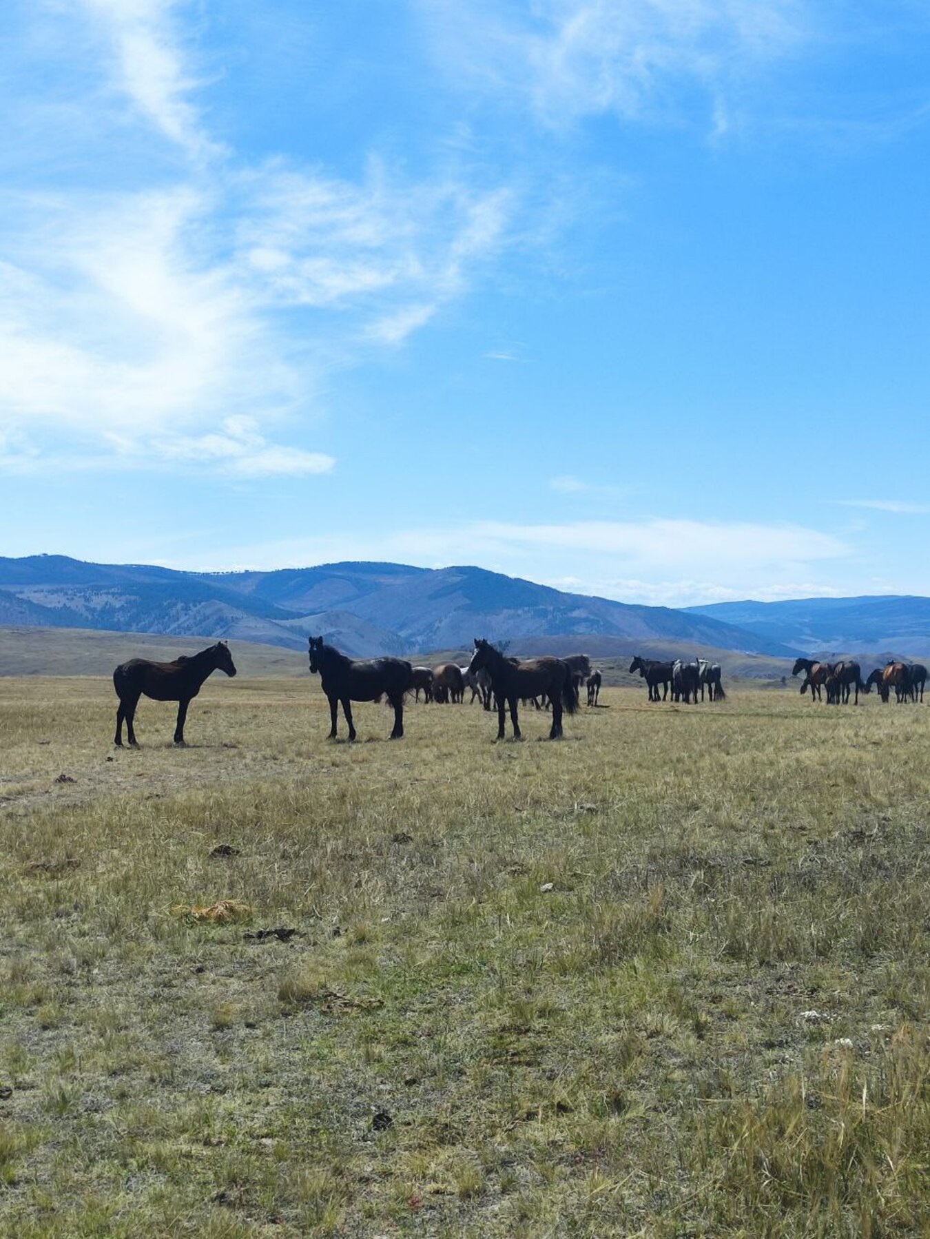 Экскурсия на остров Ольхон в мини-группе! (8/21)