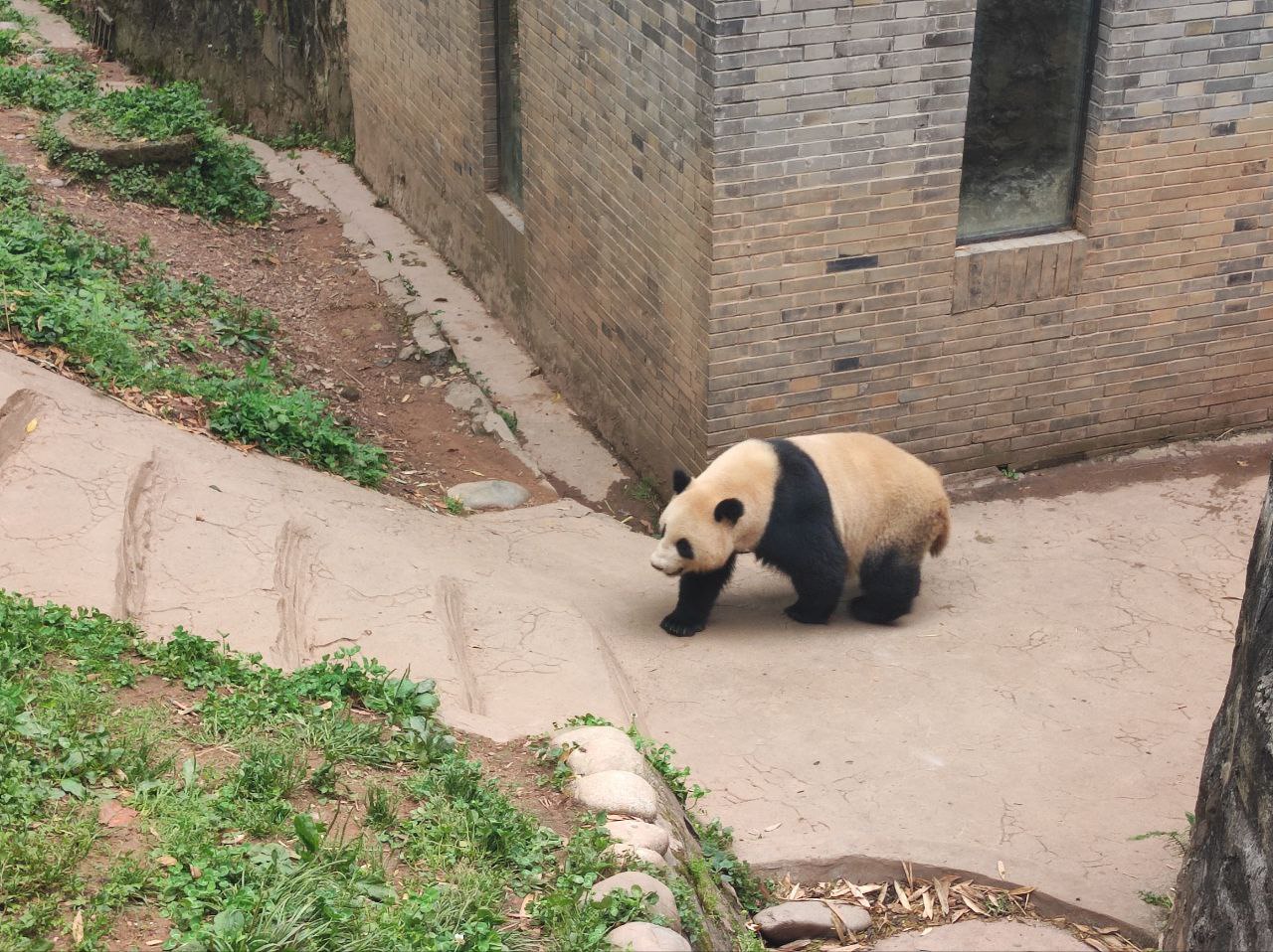 Западный Китай: с севера на юг. (23/175)