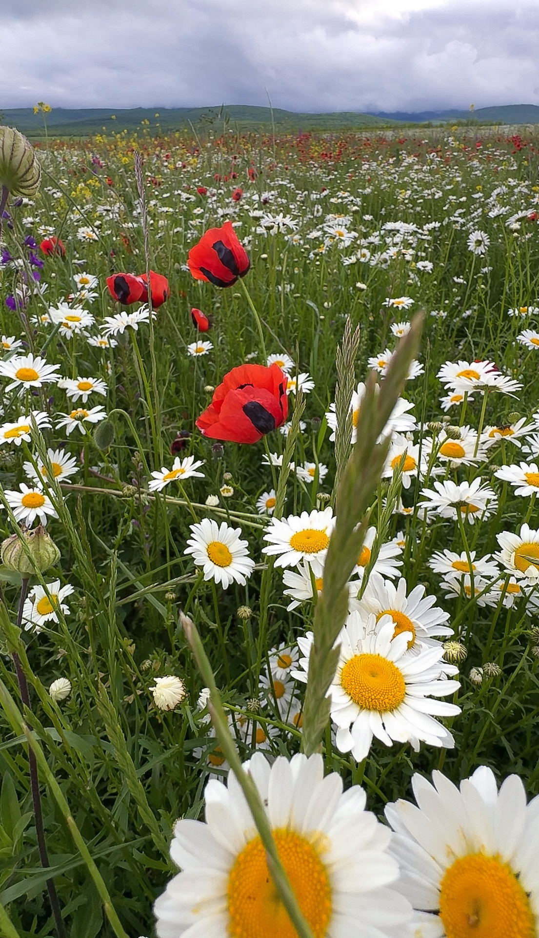 Комфорт-тур в Дагестан. Все выключено на 5 дней (5/29)