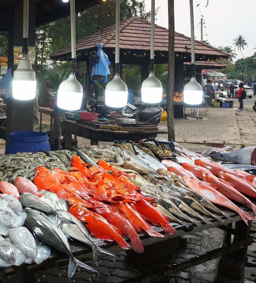 Вся Шри-Ланка за 9 дней (32/32)