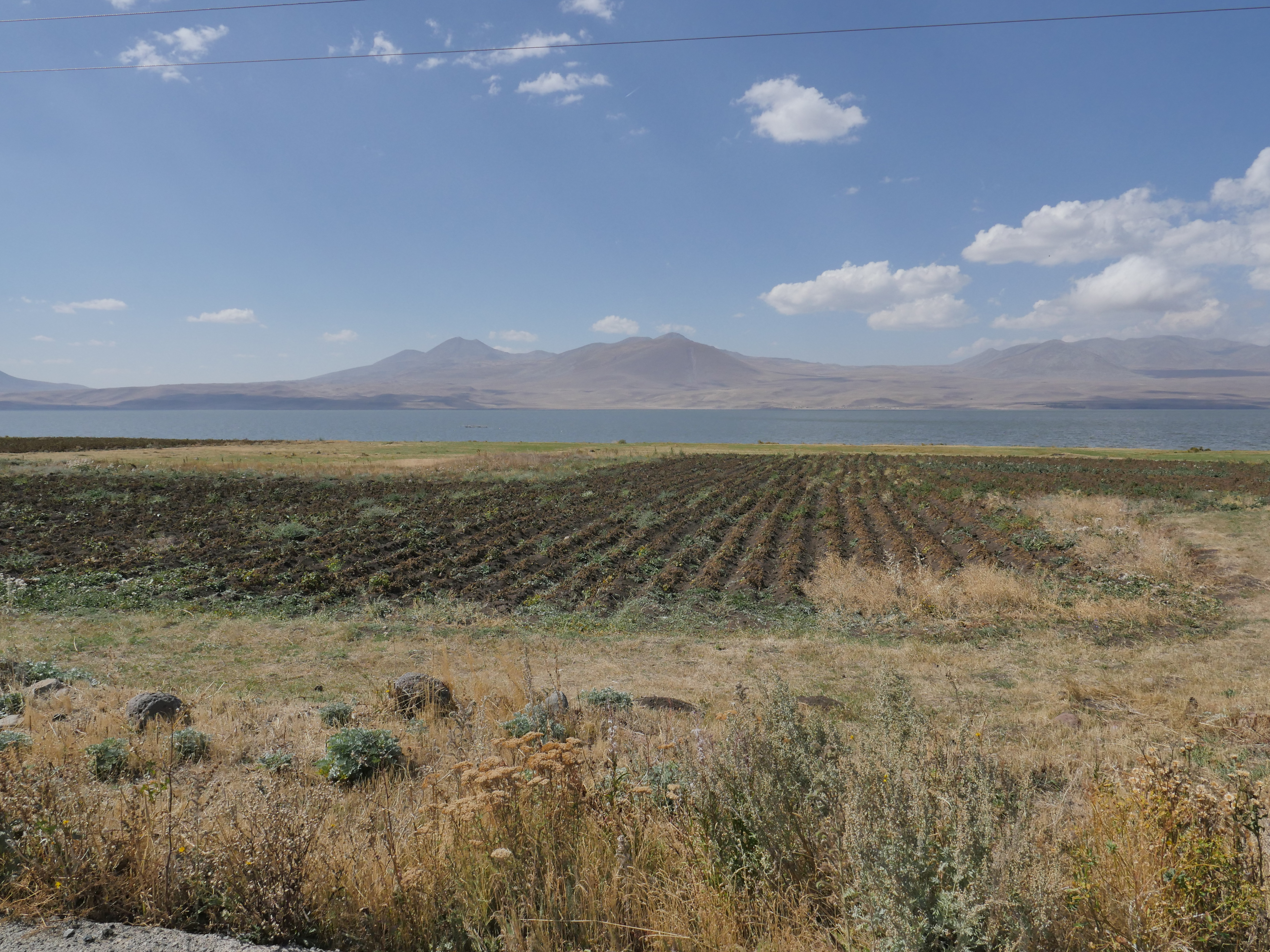Грузия Восьмерка с бантиком