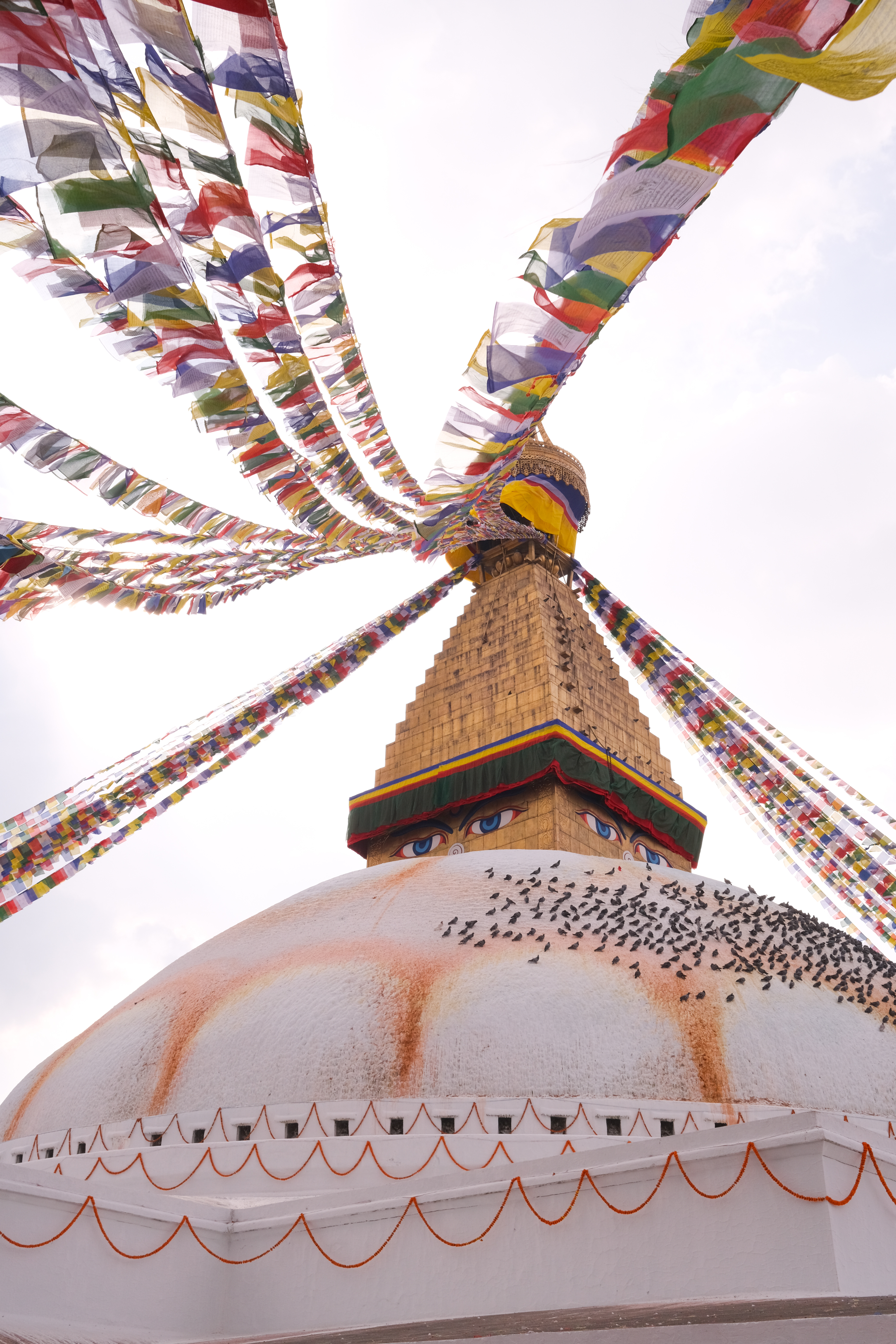 Mardi Himal - короткий трек в Гималаях к подножью Мачапучаре (2/21)