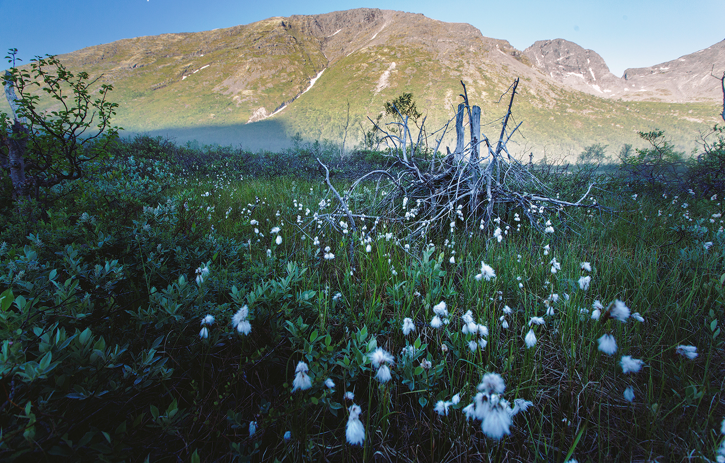 Весь Кольский: путешествие в формате всё и сразу (13/30)