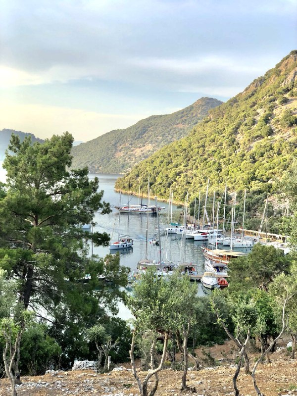 Идеальное путешествие для любителей увлекательных маршрутов (31/38)