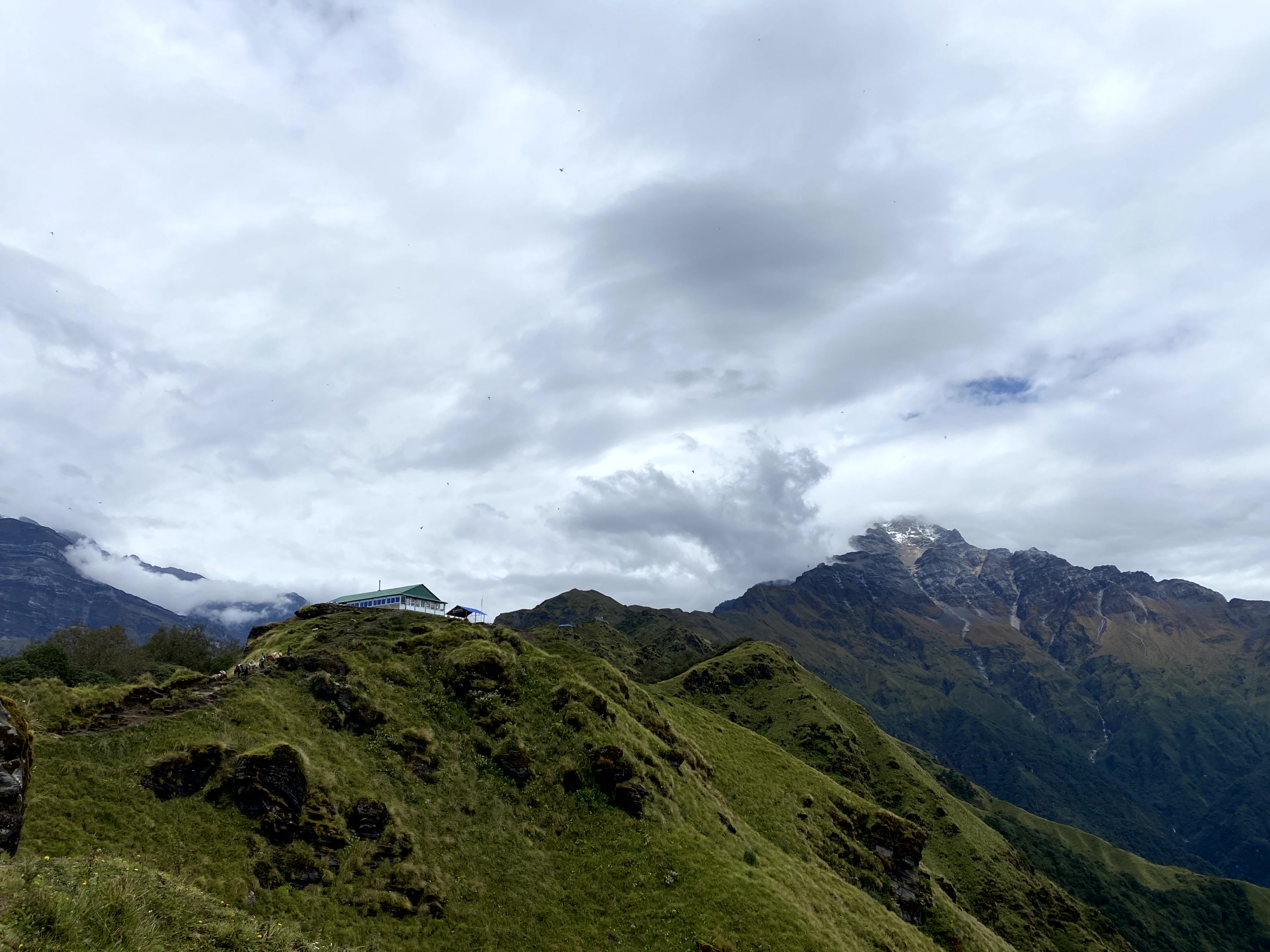 Mardi Himal - короткий трек в Гималаях к подножью Мачапучаре (13/21)