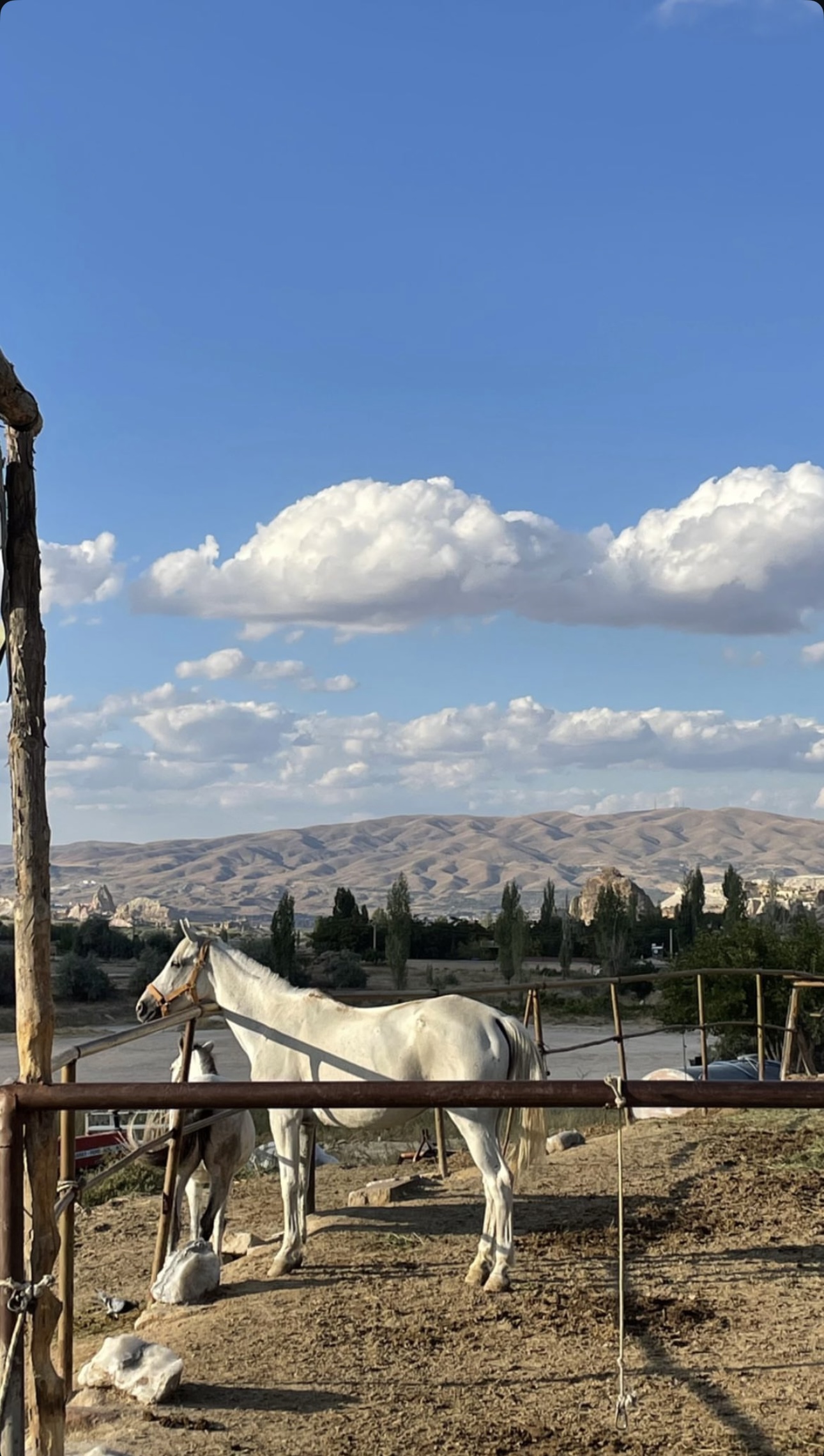 Восхитительный Стамбул и удивительная Каппадокия ! (20/39)