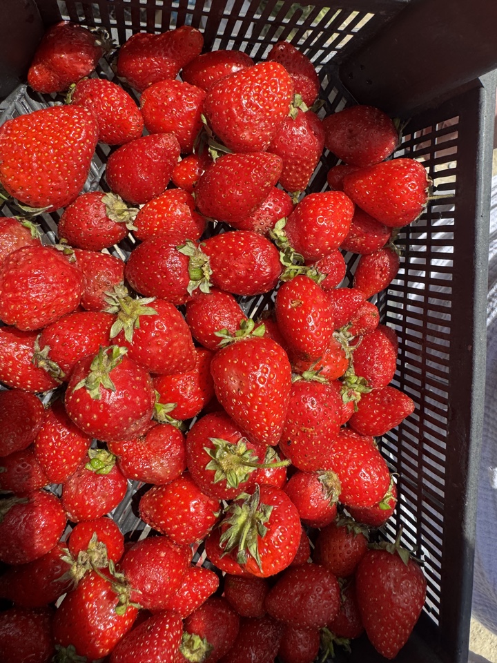 Перезагрузка в Дагестане за три дня! Всё включено! (10/16)