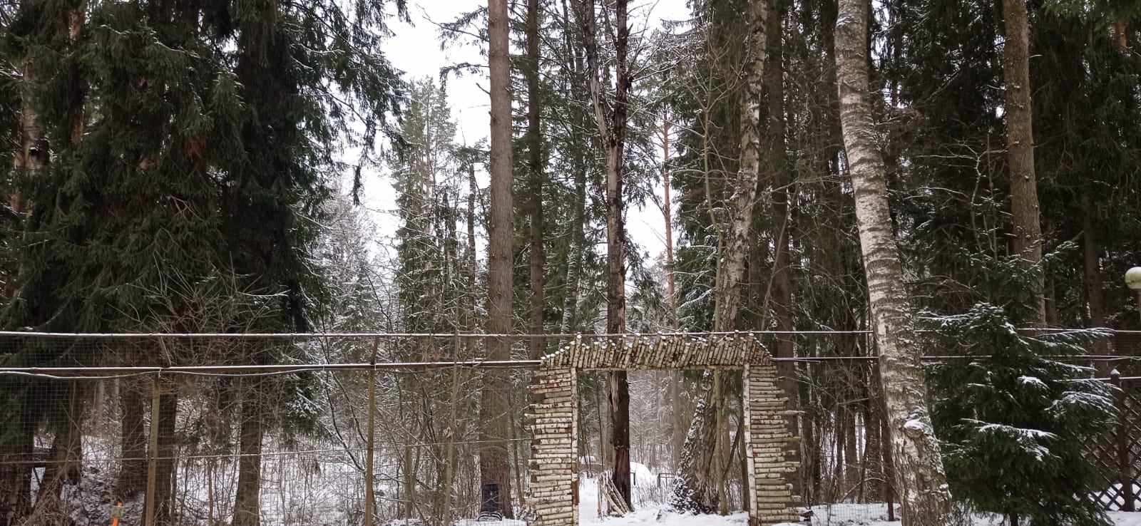 Старица - пещеры, Хаски парк и  Рождественский бал в усадьбе (21/34)