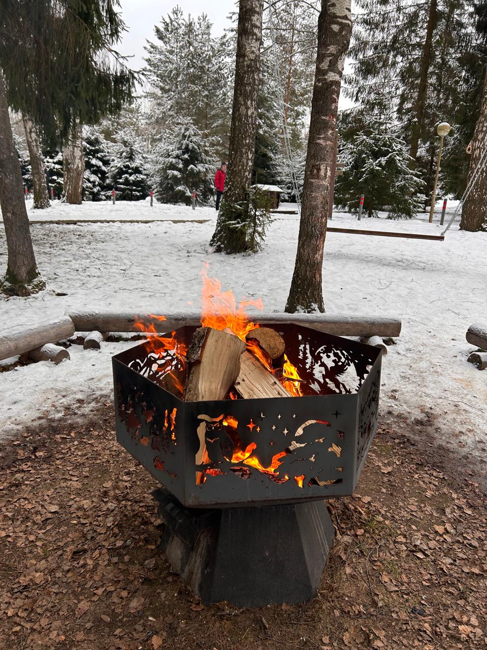 Старица - пещеры, Хаски парк и  Рождественский бал в усадьбе (8/34)