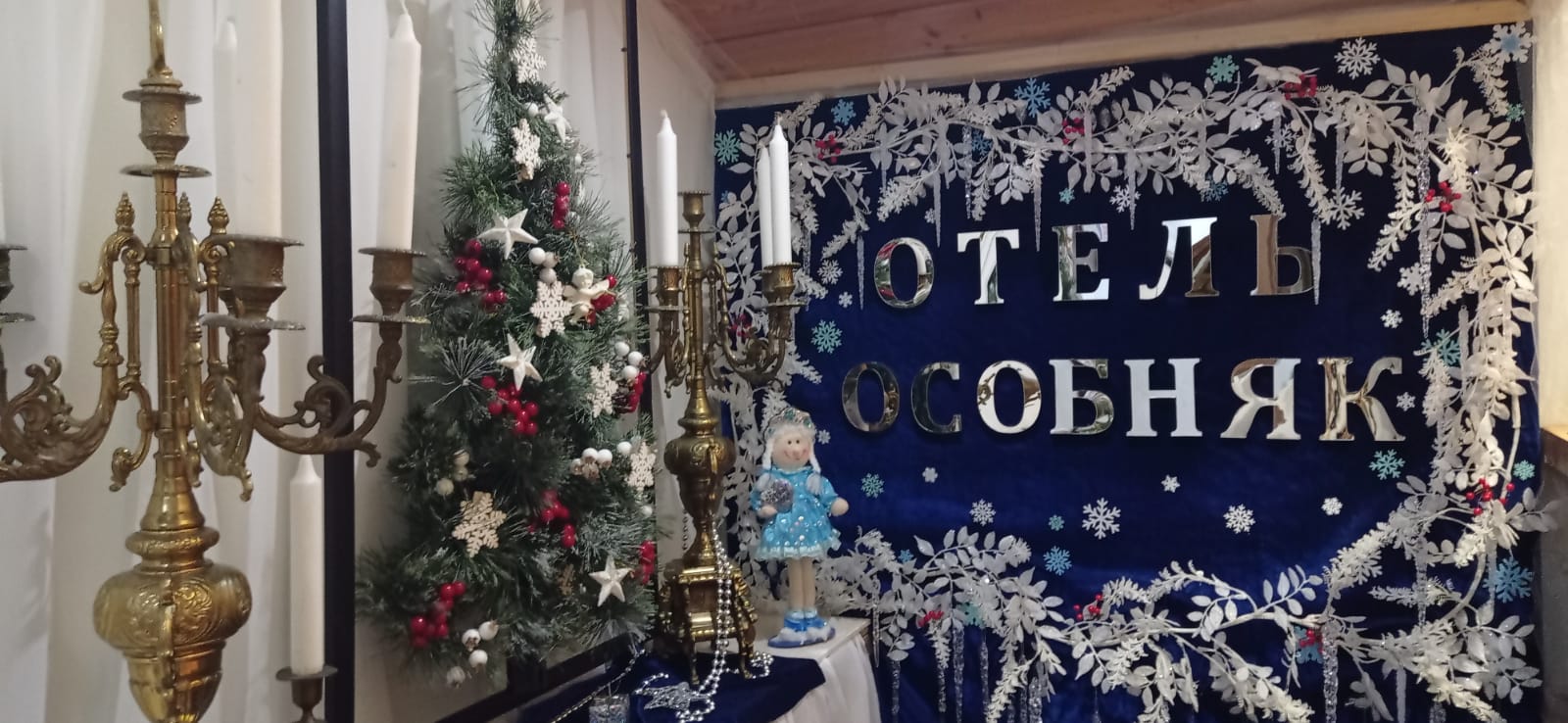 Старица - пещеры, Хаски парк и  Рождественский бал в усадьбе (17/34)