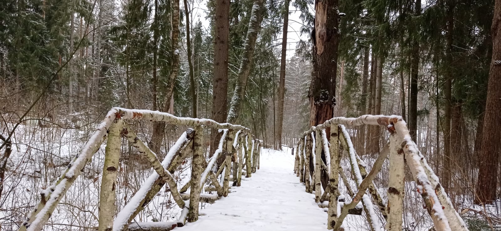 Старица - пещеры, Хаски парк и  Рождественский бал в усадьбе (6/34)