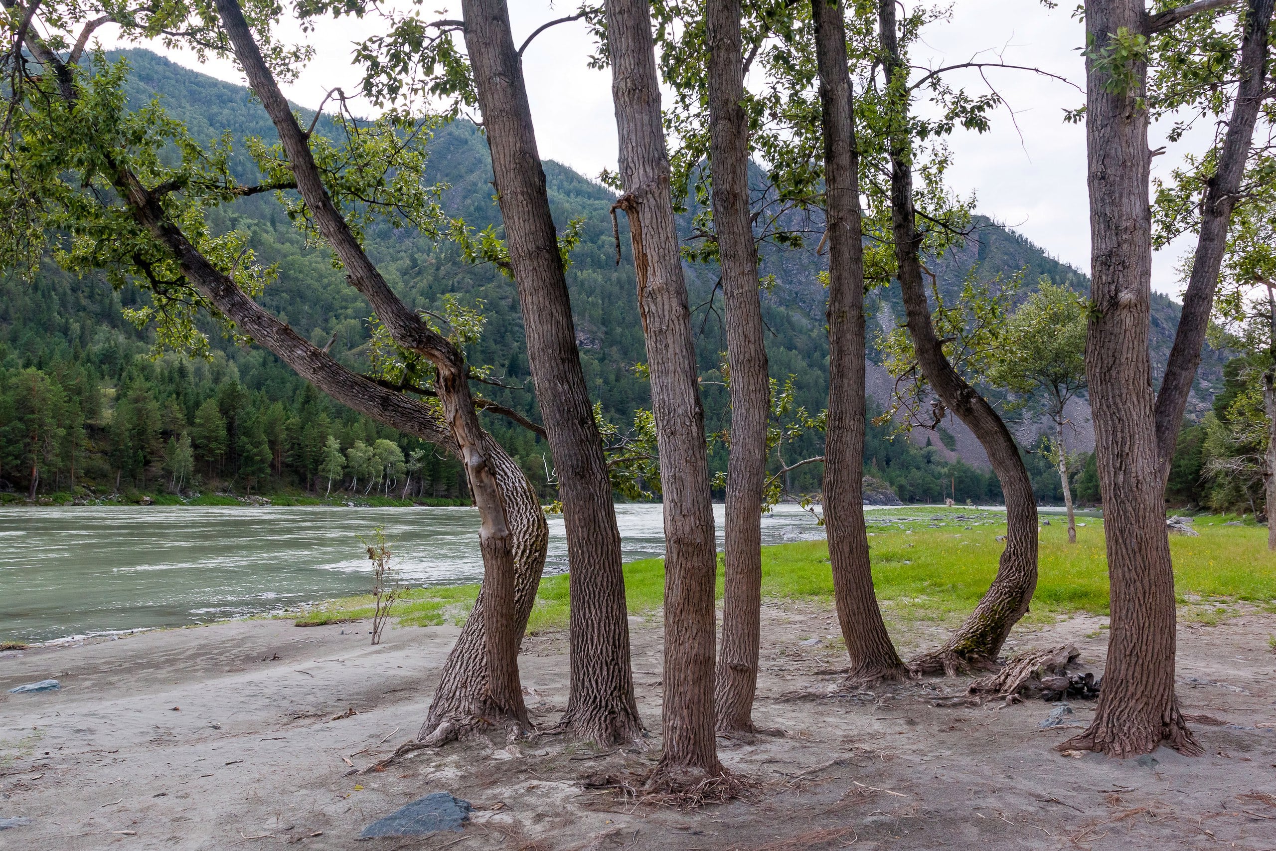 Сплав по всей Катуни (13/14)