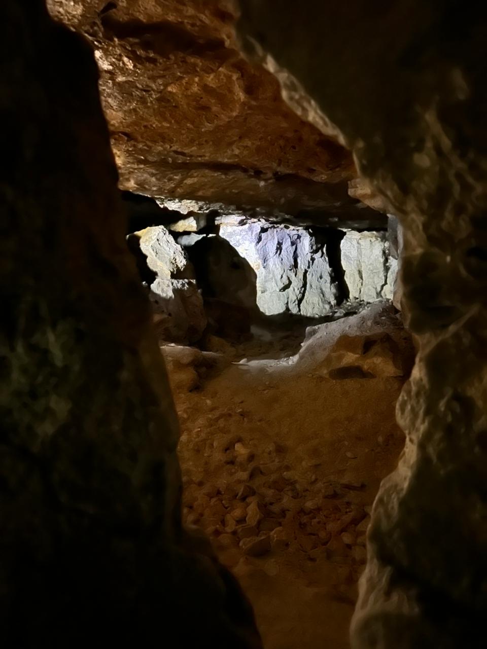 Старица - пещеры, Хаски парк и  Рождественский бал в усадьбе (23/34)