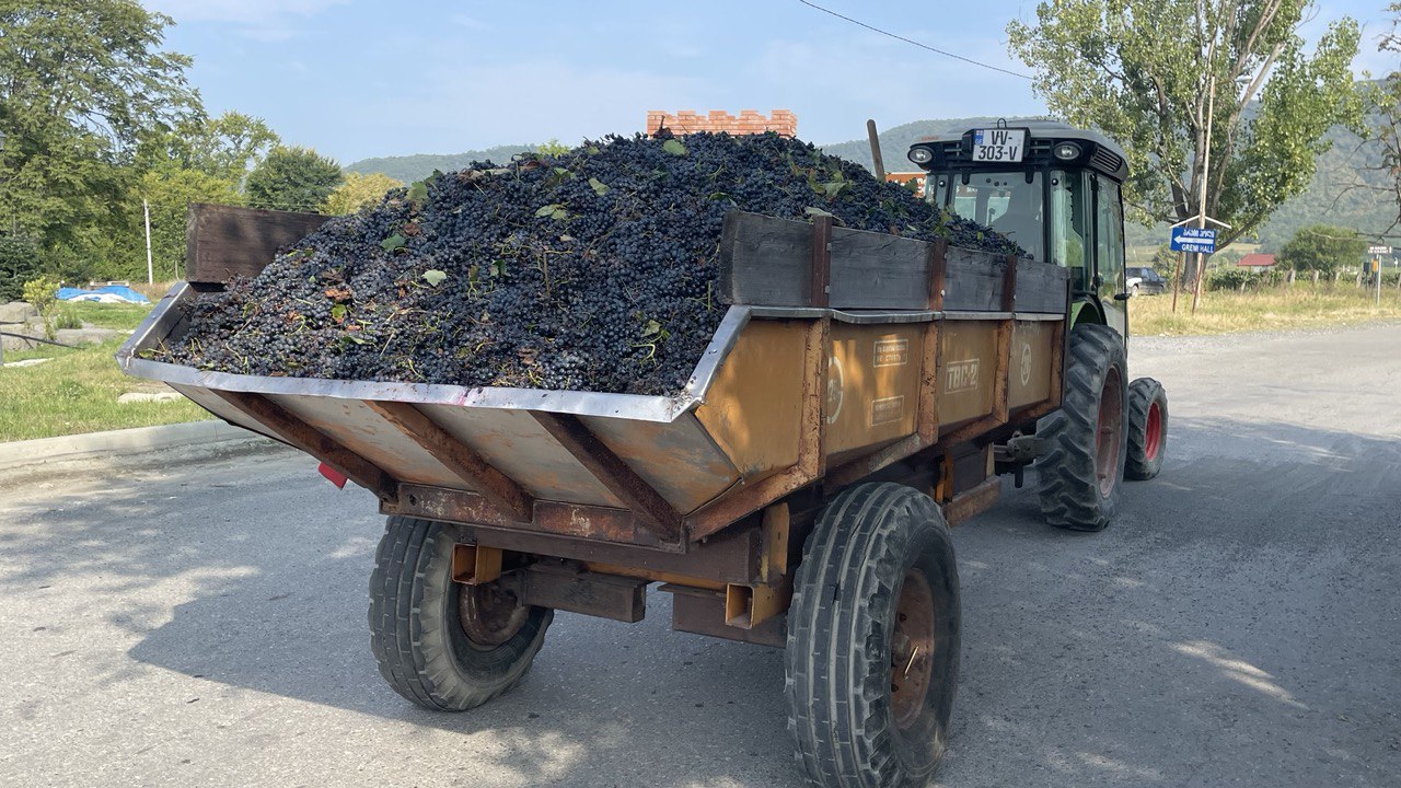 Гамарджоба Генацвале - 4 топовые экскурсии в одном путешествии (14/42)