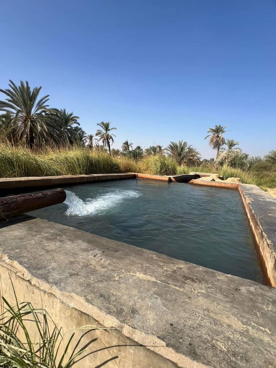 Белая и чёрная пустыни - романтика и восторг (11/16)