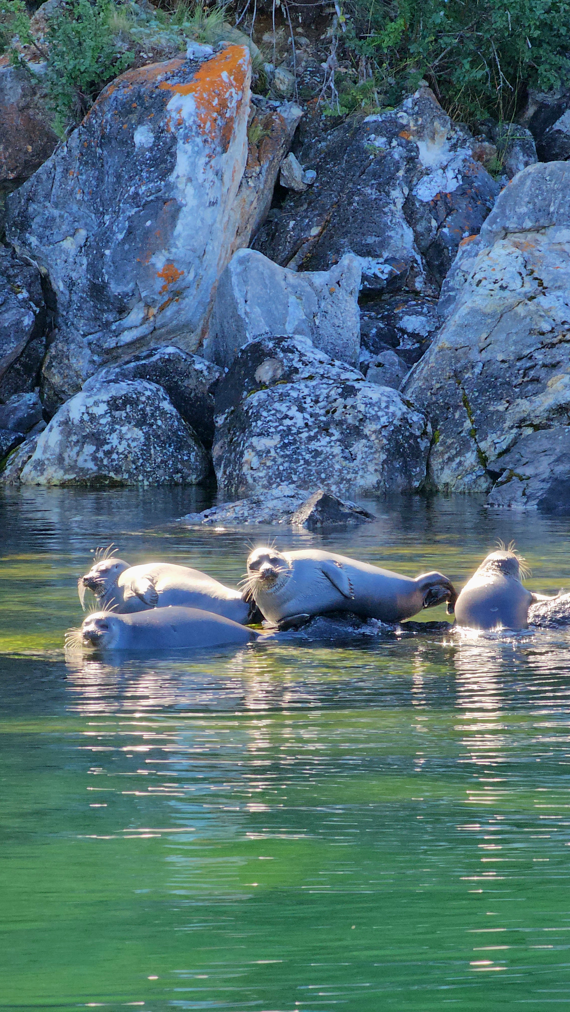 Сердце Байкала, комфорт-тур (3/28)