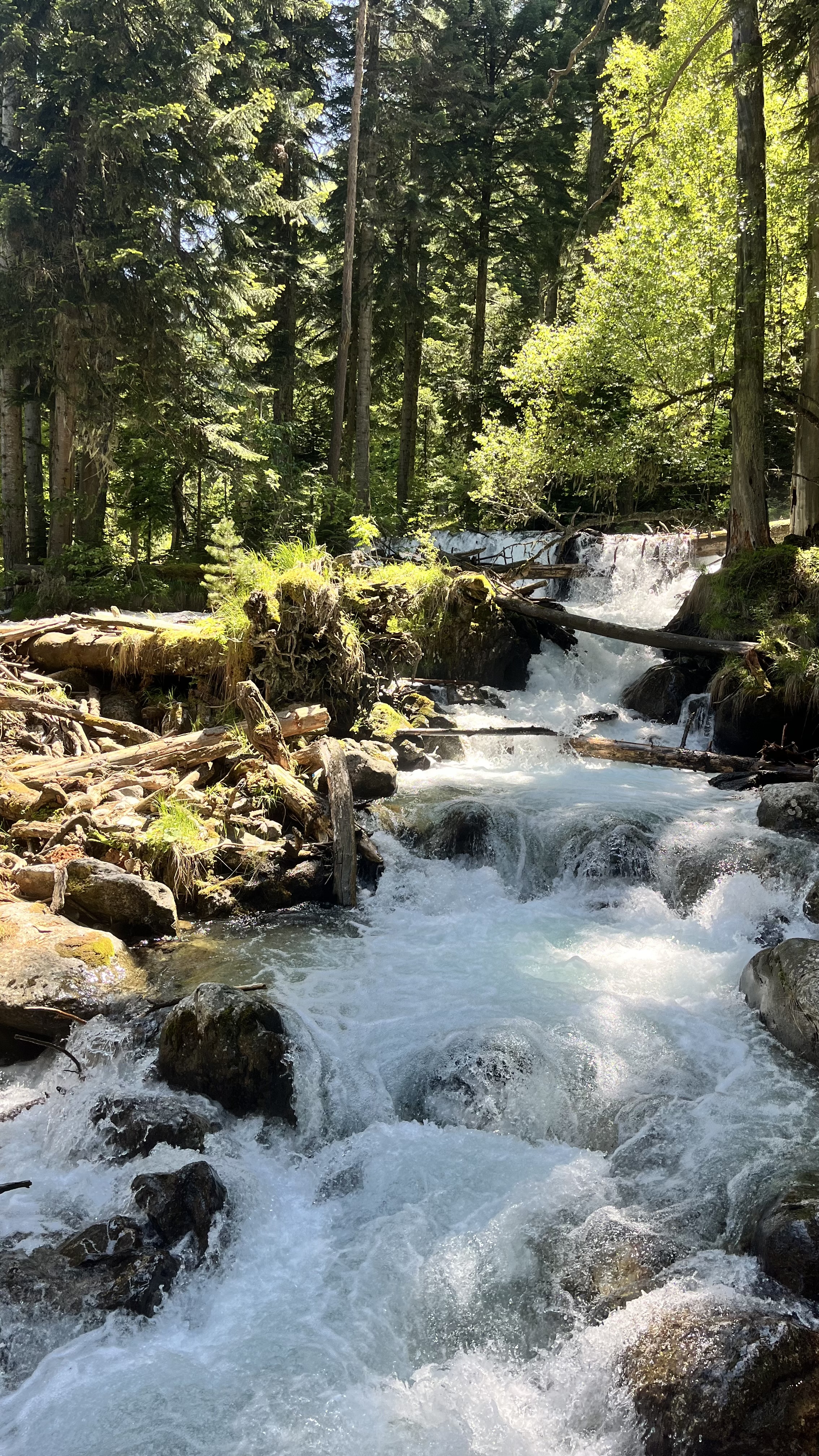 Джиппинг к Белым водопадам  Архыза (12/17)