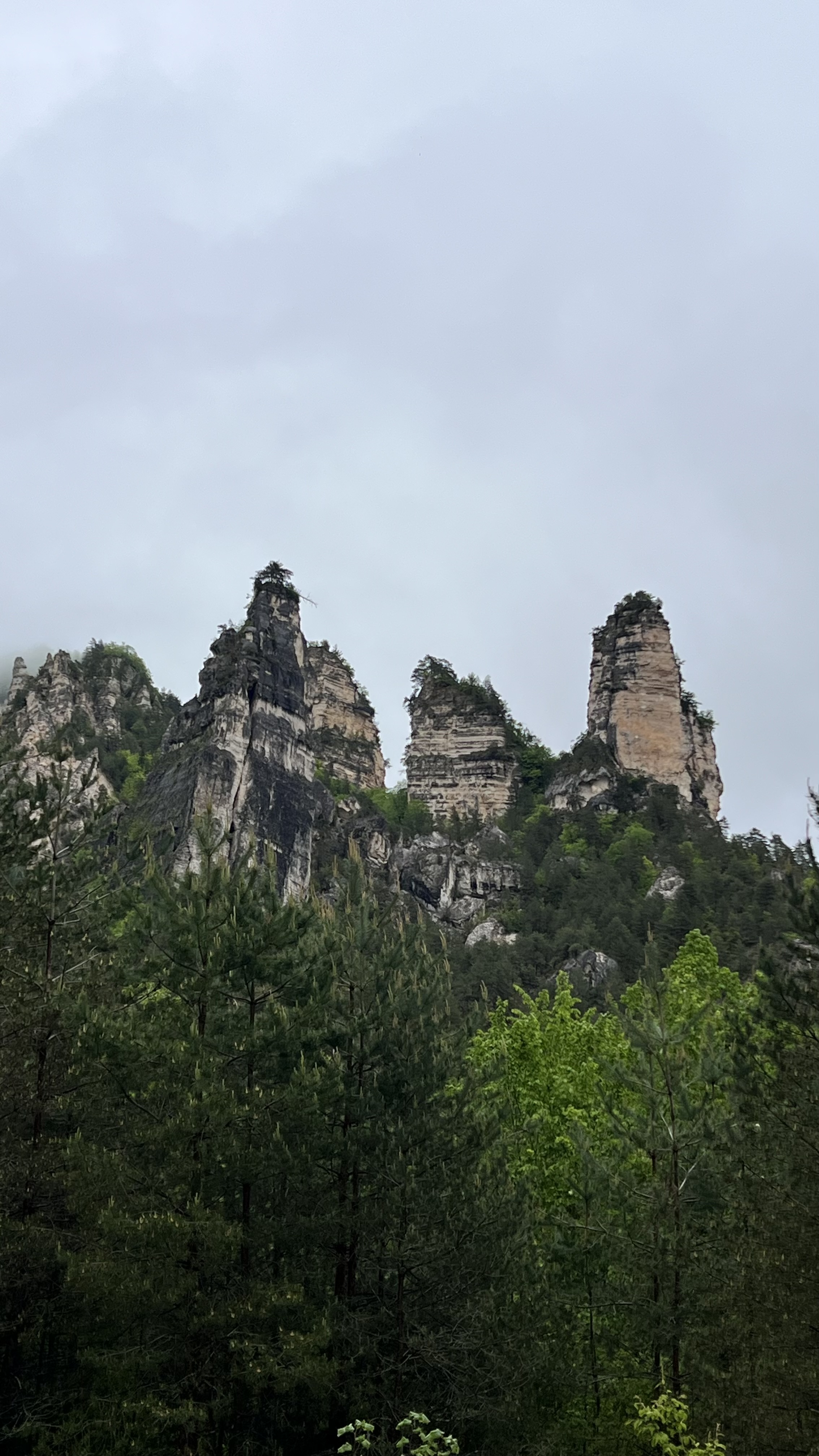 Рача и Сванети- два самых живописных региона Грузии в одном туре. (17/52)