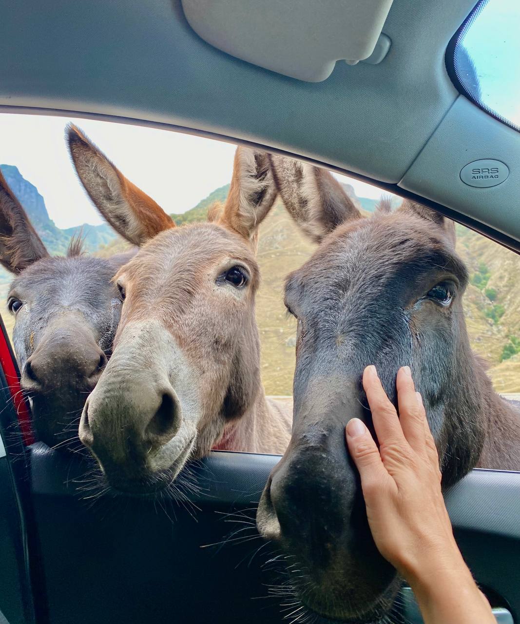 Солнестояние 2026 в горах Кавказа (13/18)