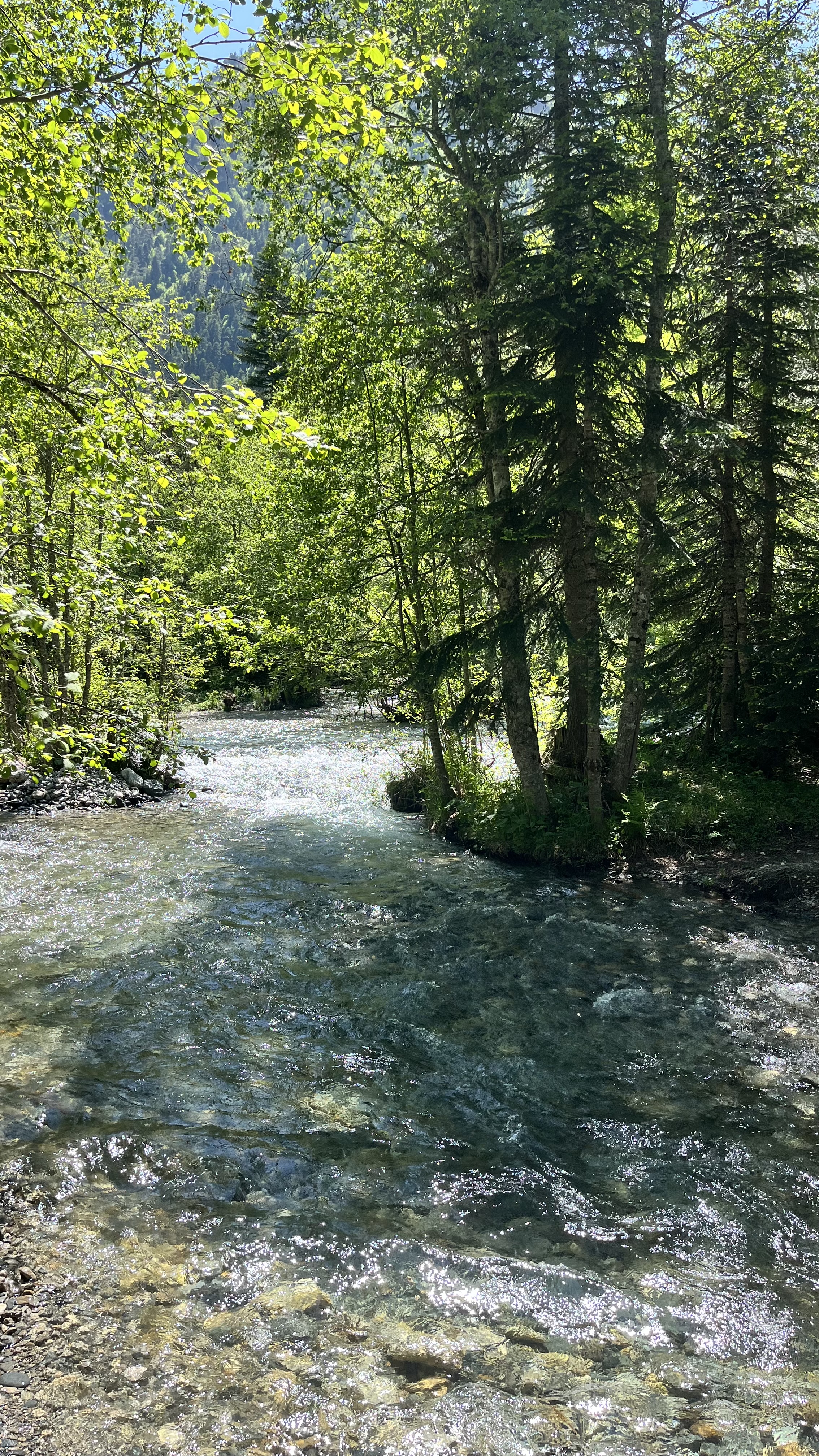 Джиппинг к Белым водопадам  Архыза (13/17)