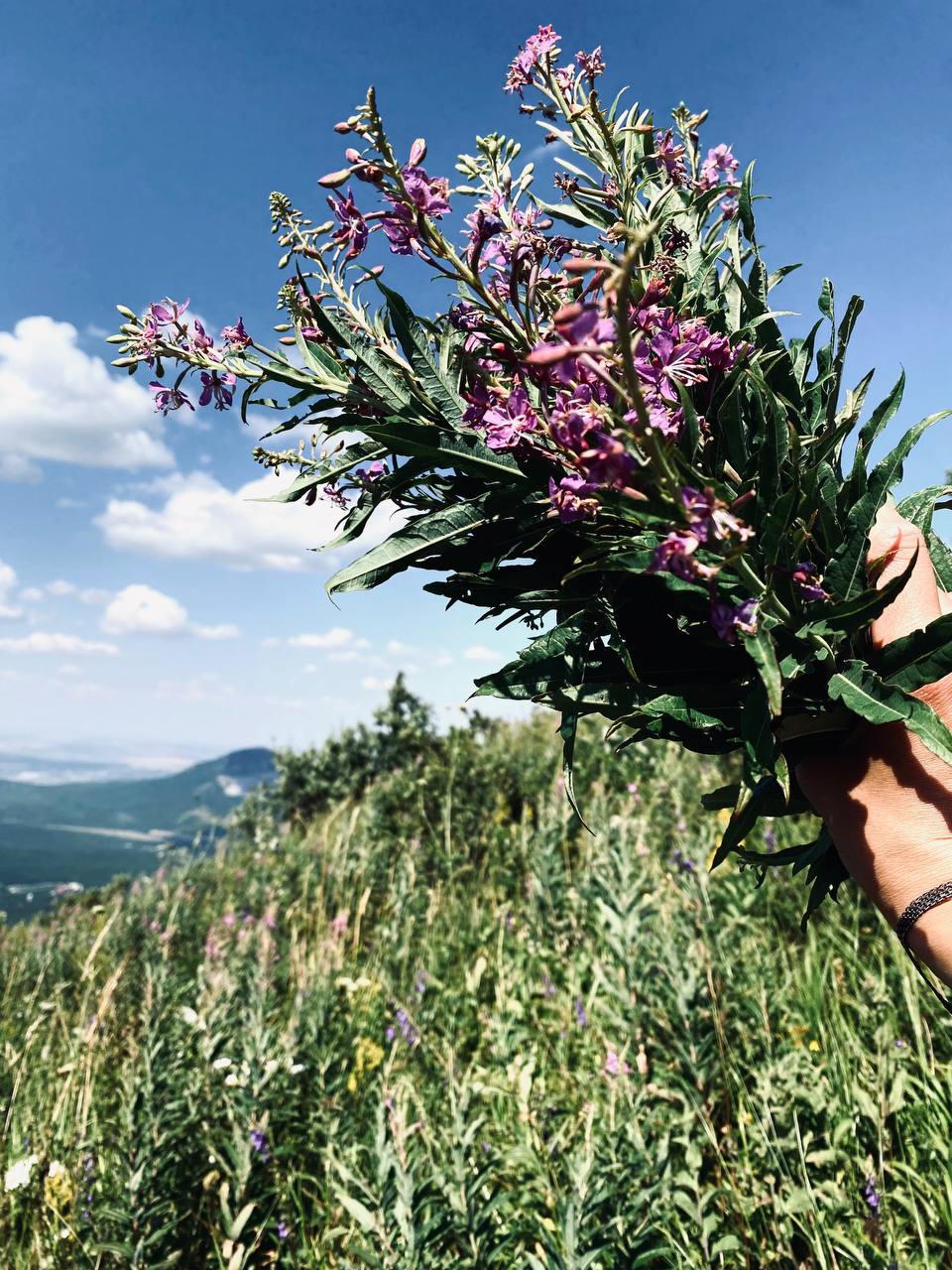 Солнестояние 2026 в горах Кавказа (14/18)