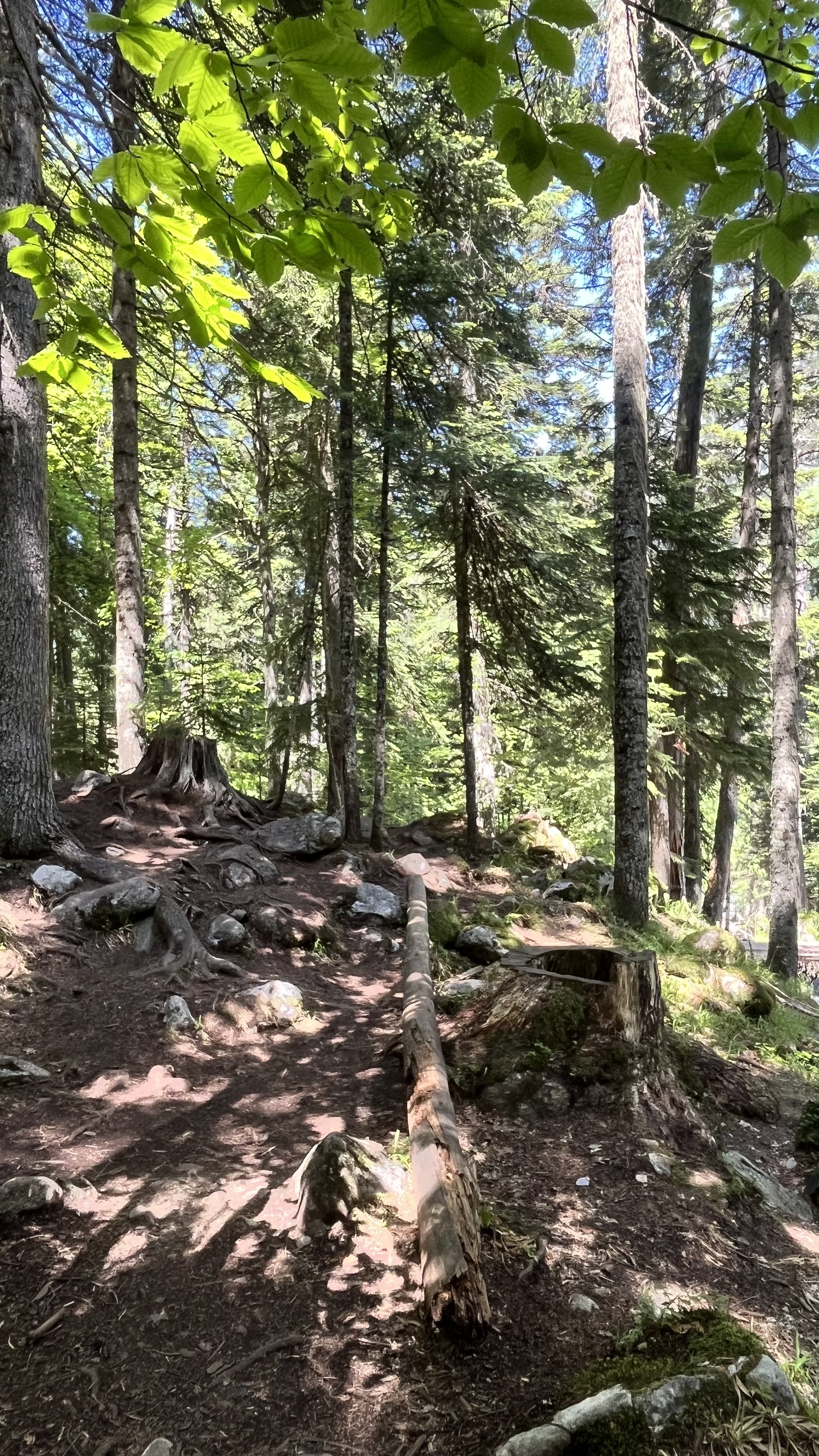 Джиппинг к Белым водопадам  Архыза (15/17)