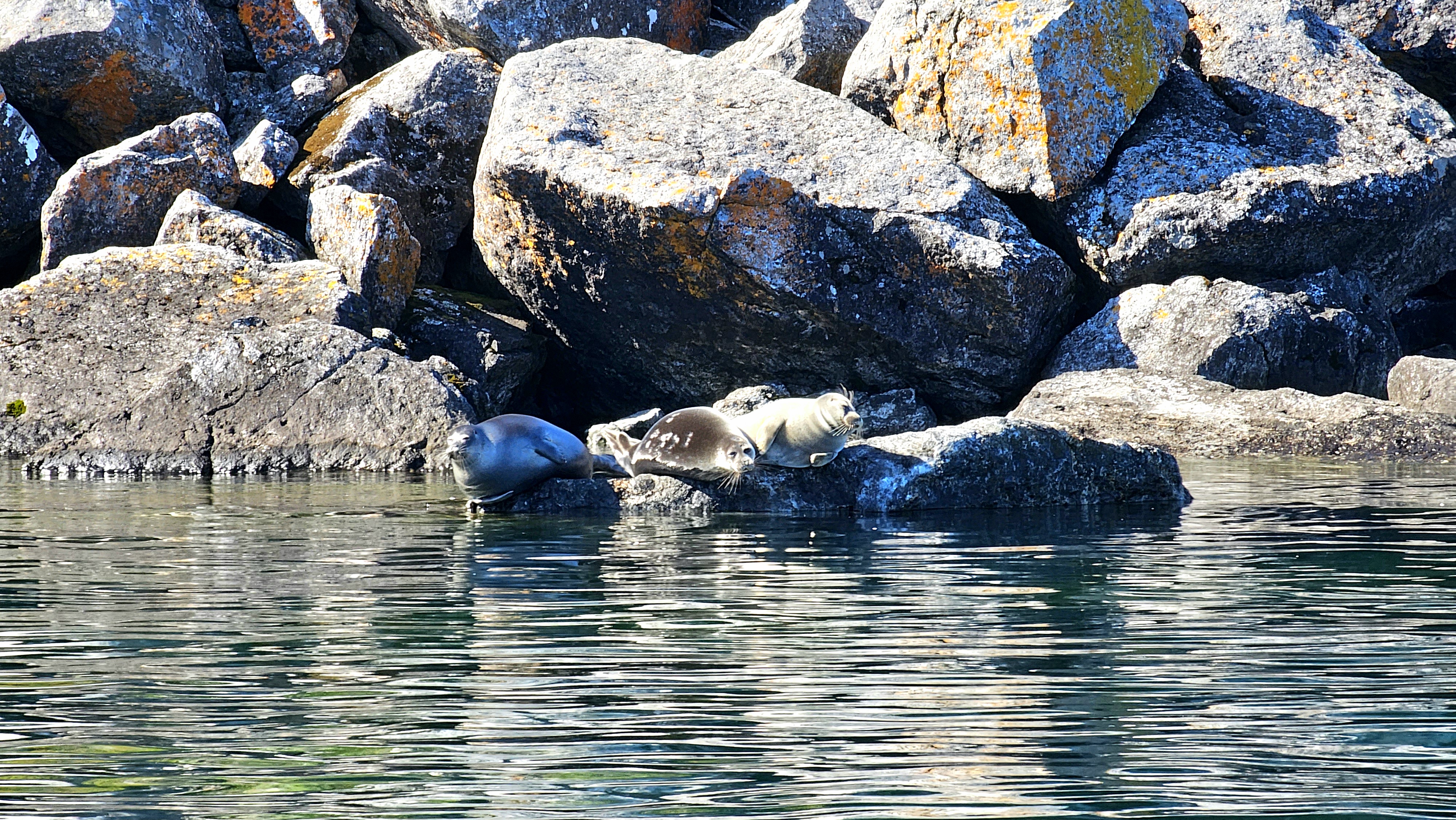 Сердце Байкала, комфорт-тур (7/28)