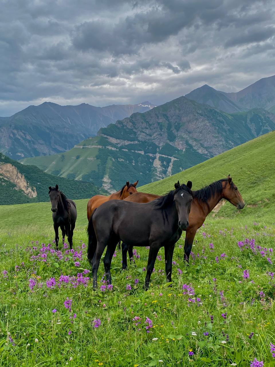 Солнестояние 2026 в горах Кавказа (9/18)