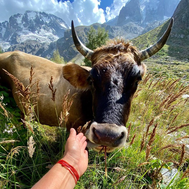 Солнестояние 2026 в горах Кавказа (16/18)