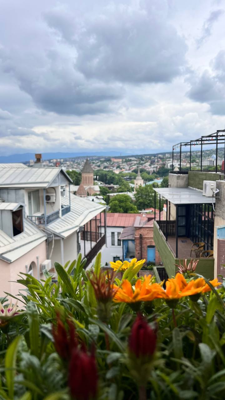 Вся Грузия за неделю (6/36)