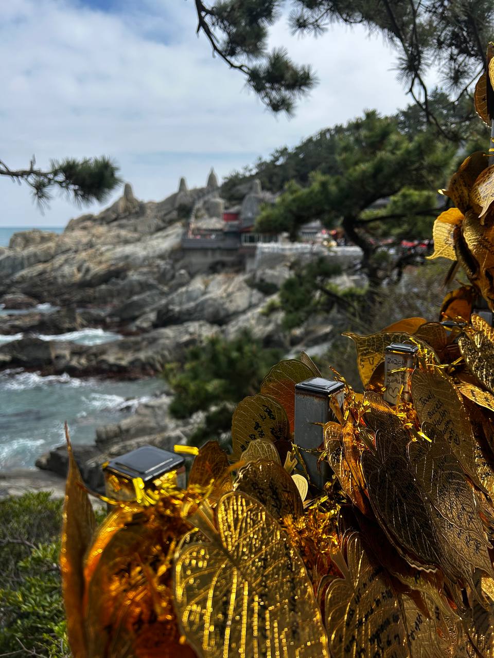 Осень в Южной Корее: Симфония Красного клена и Морского Бриза (17/19)