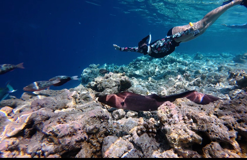 Лучшие экскурсии Мальдив в одном туре! Посещаем разные острова! (5/52)