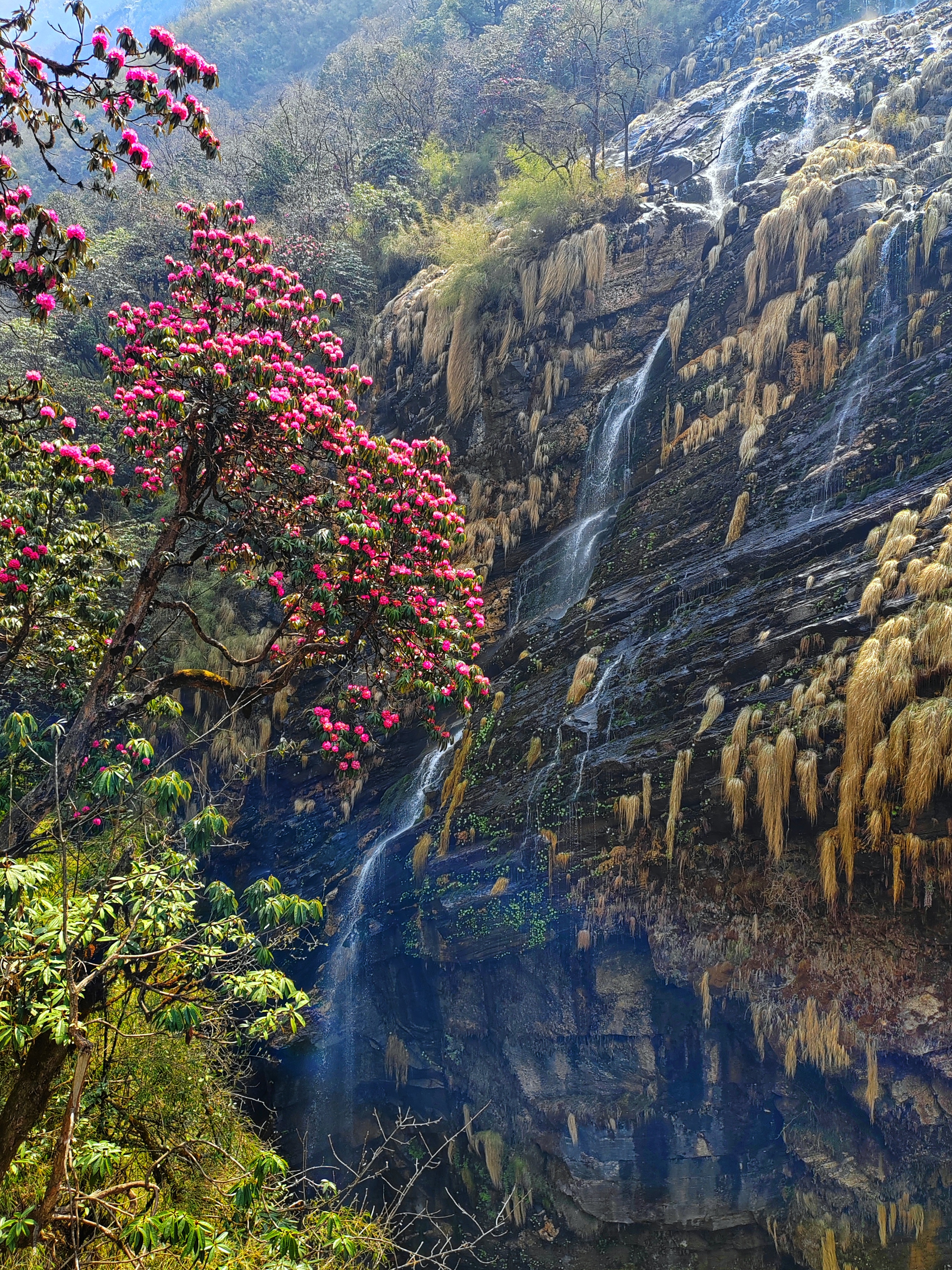 Непал. Треккинг к Базовому лагеру Аннапурнны. (3/44)